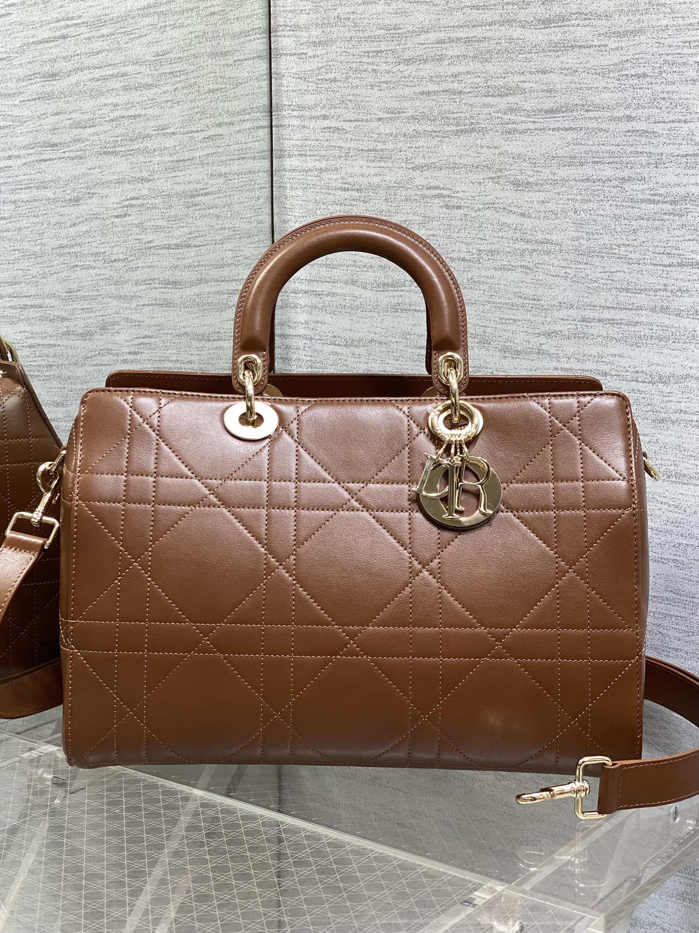Dior Female Basic Bag Coffee 20cm-l-s
