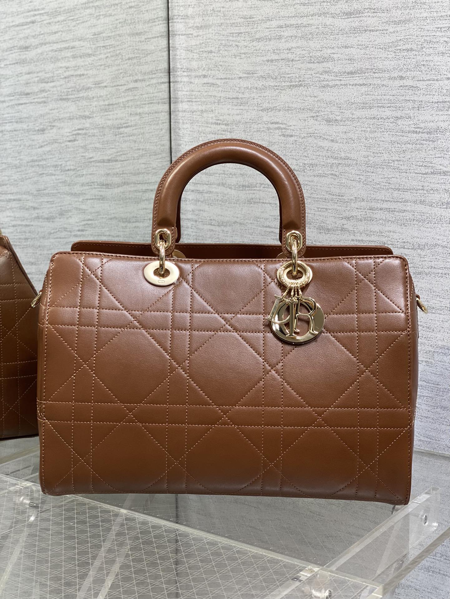 Dior Female Basic Bag Coffee 20cm-l-s