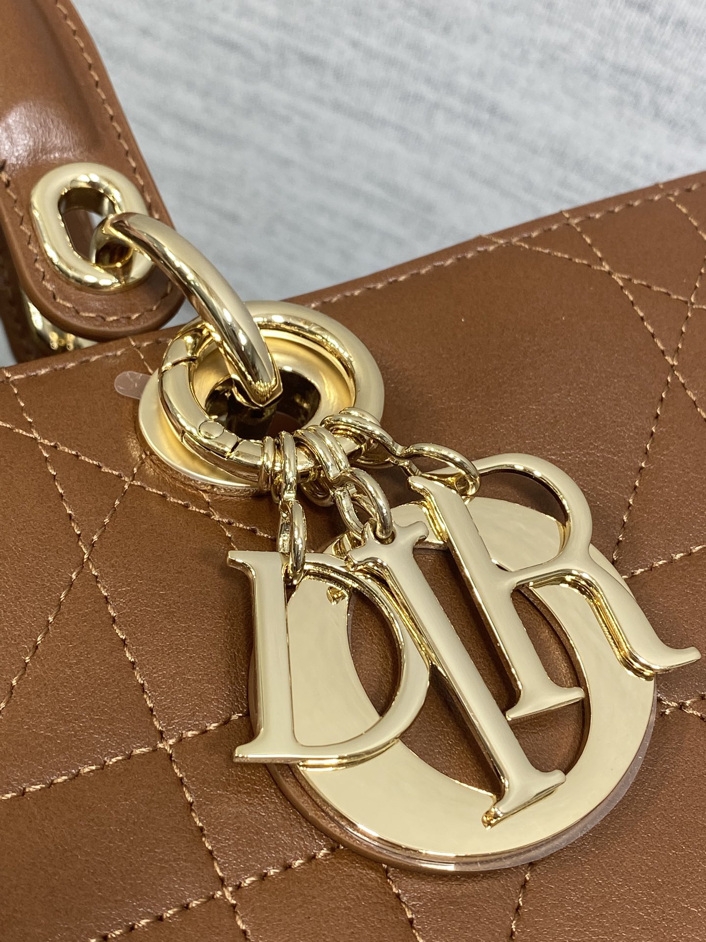 Dior Female Basic Bag Coffee 20cm-l-s