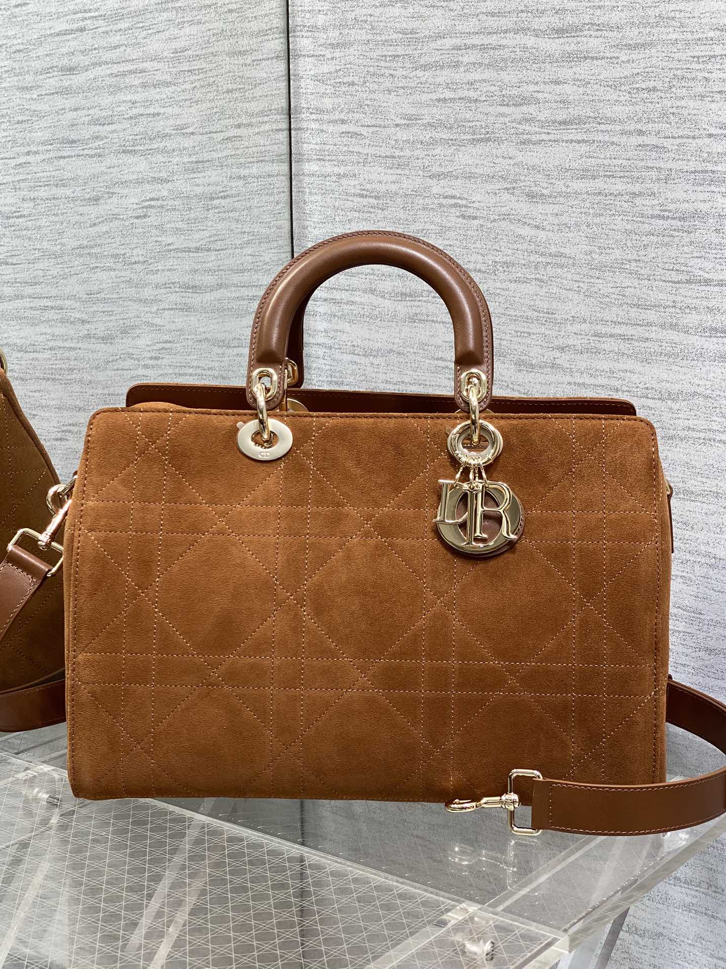 Dior Female Basic Bag Brown 20cm-l-s