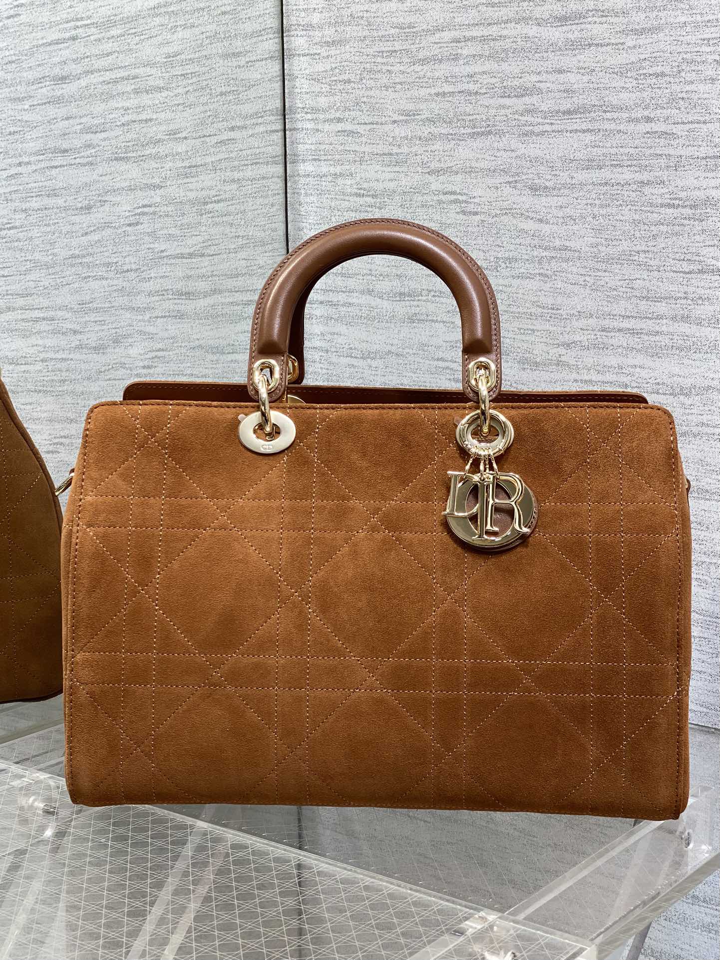 Dior Female Basic Bag Brown 20cm-l-s