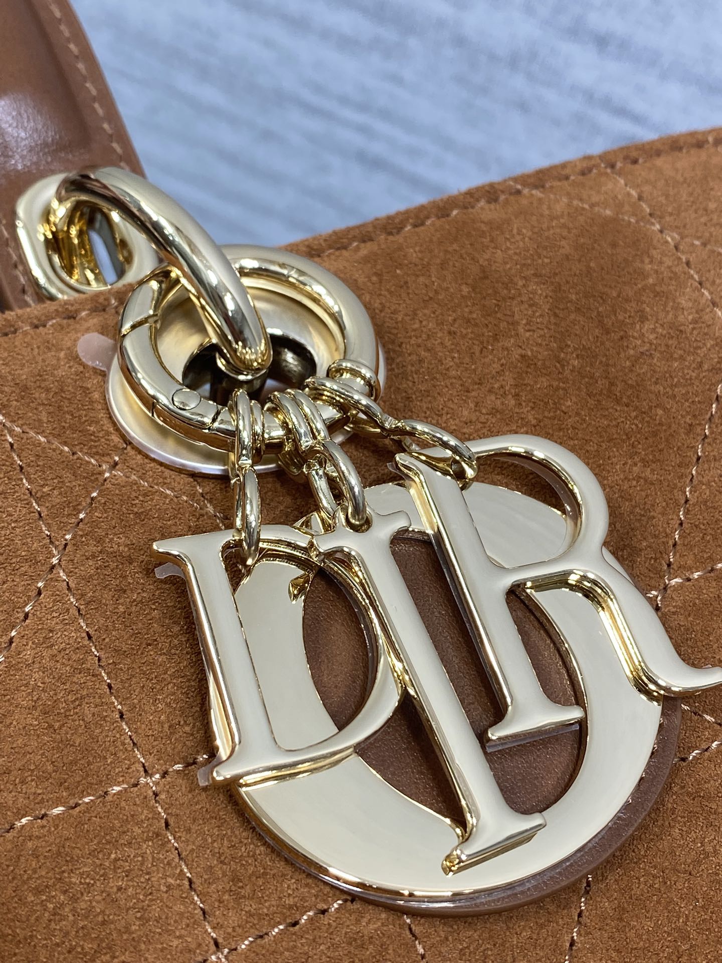 Dior Female Basic Bag Brown 20cm-l-s