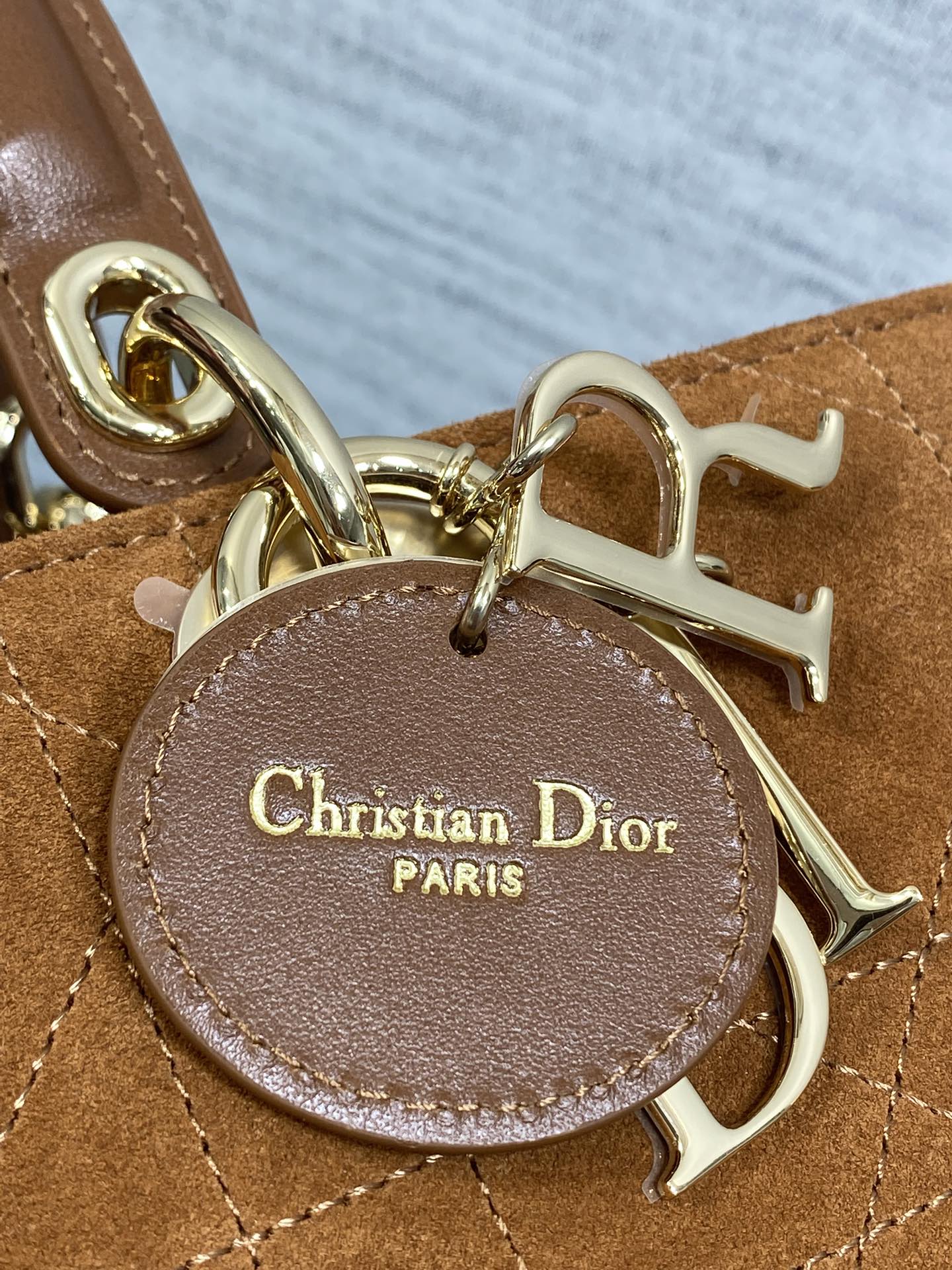 Dior Female Basic Bag Brown 20cm-l-s