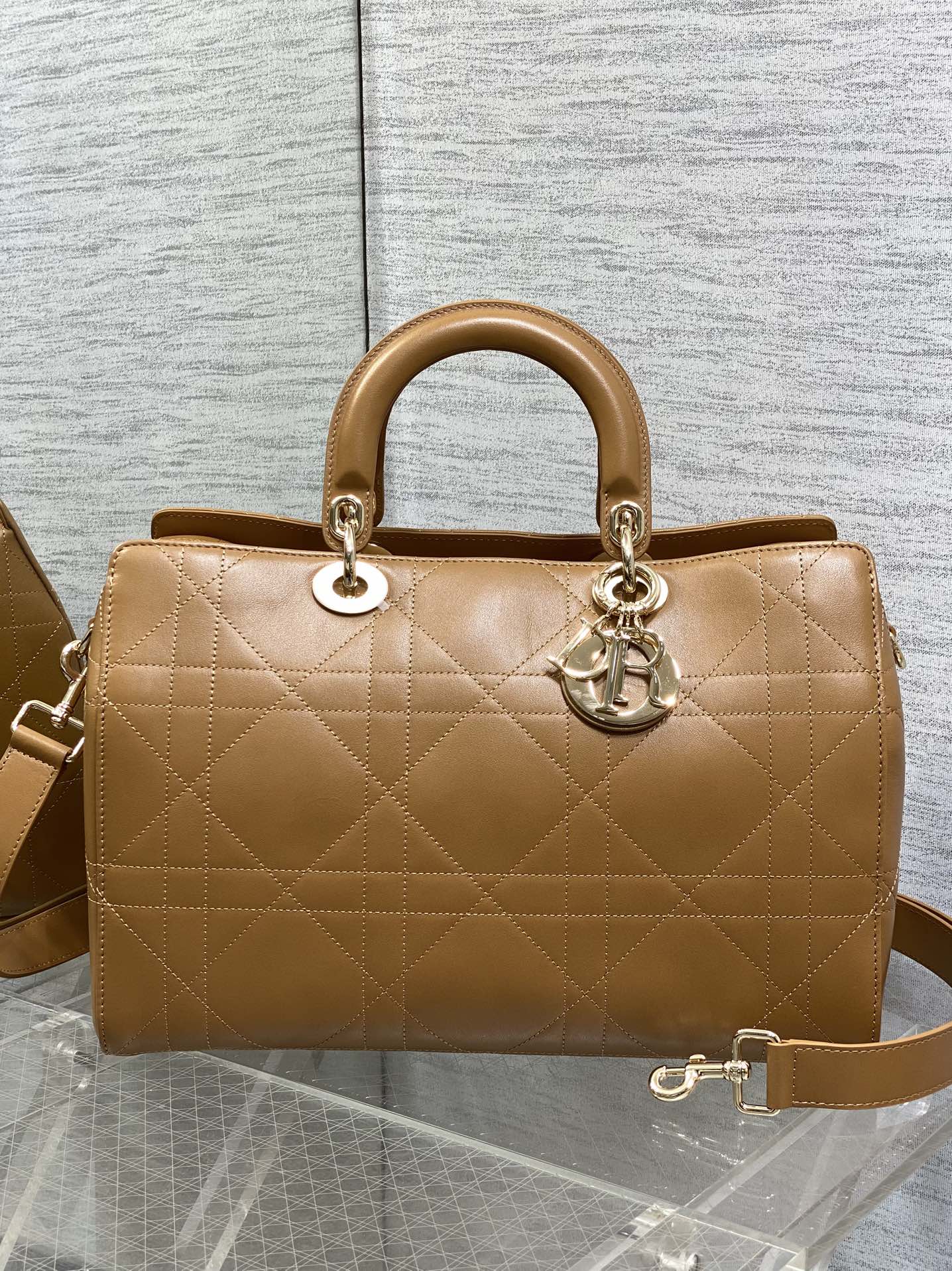 Dior Female Basic Bag Brown 20cm-l-s