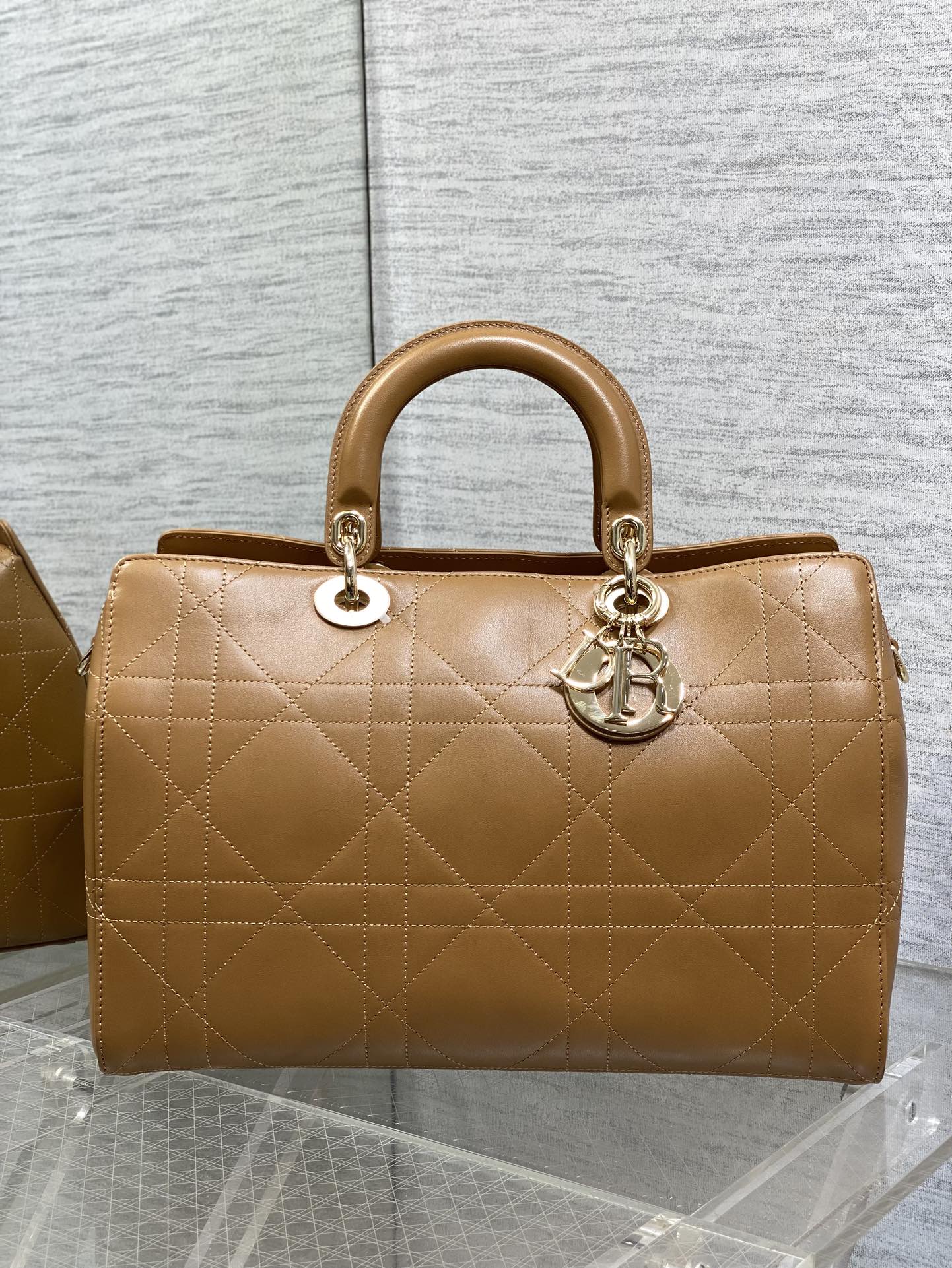 Dior Female Basic Bag Brown 20cm-l-s