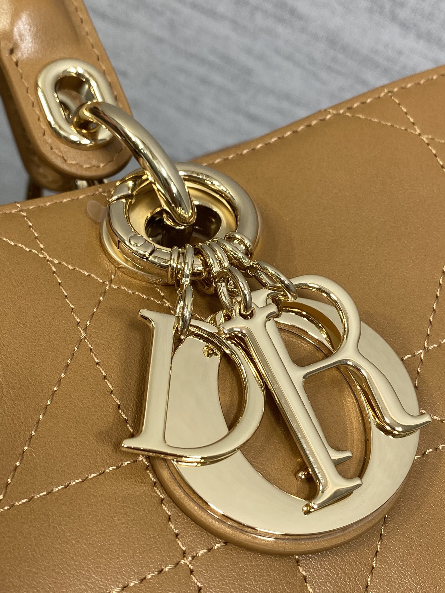 Dior Female Basic Bag Brown 20cm-l-s