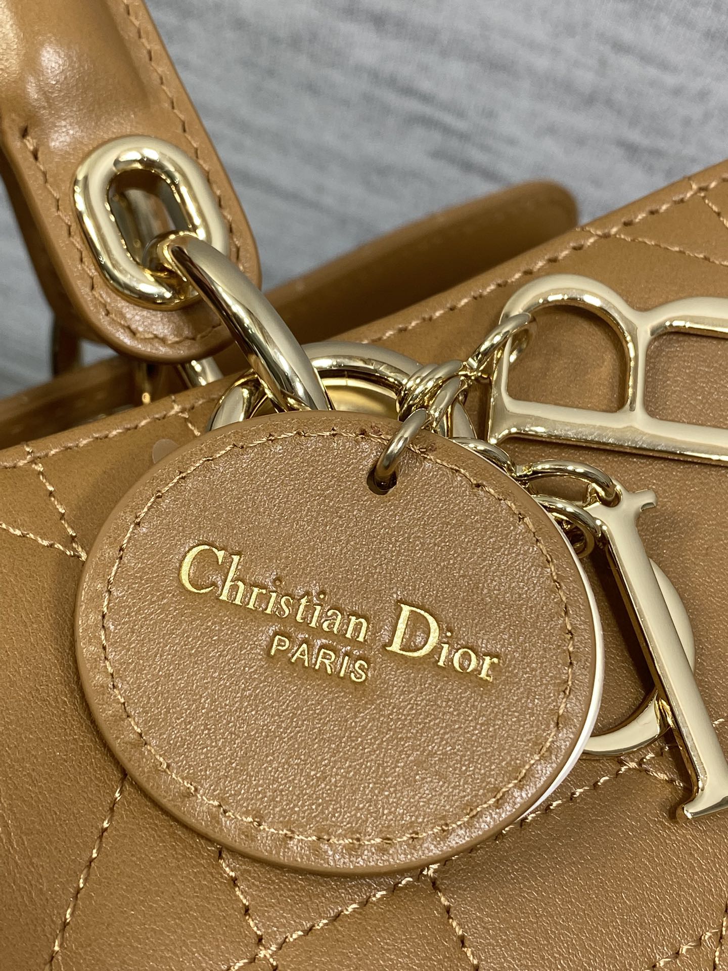 Dior Female Basic Bag Brown 20cm-l-s