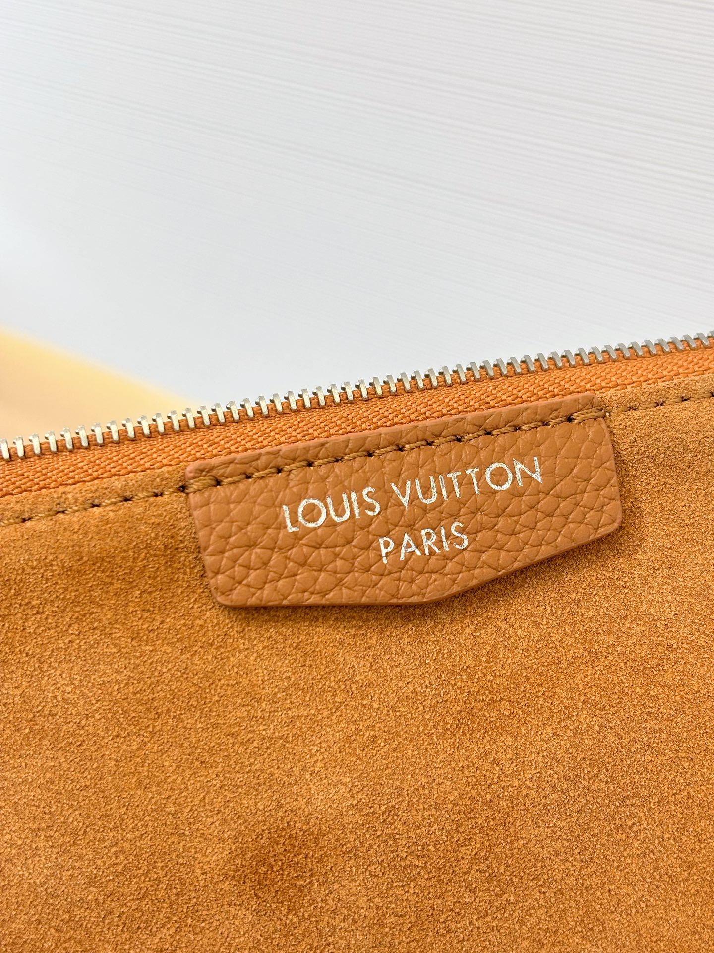 Louis Vuitton Basic Bag Cow Leather M-l-s