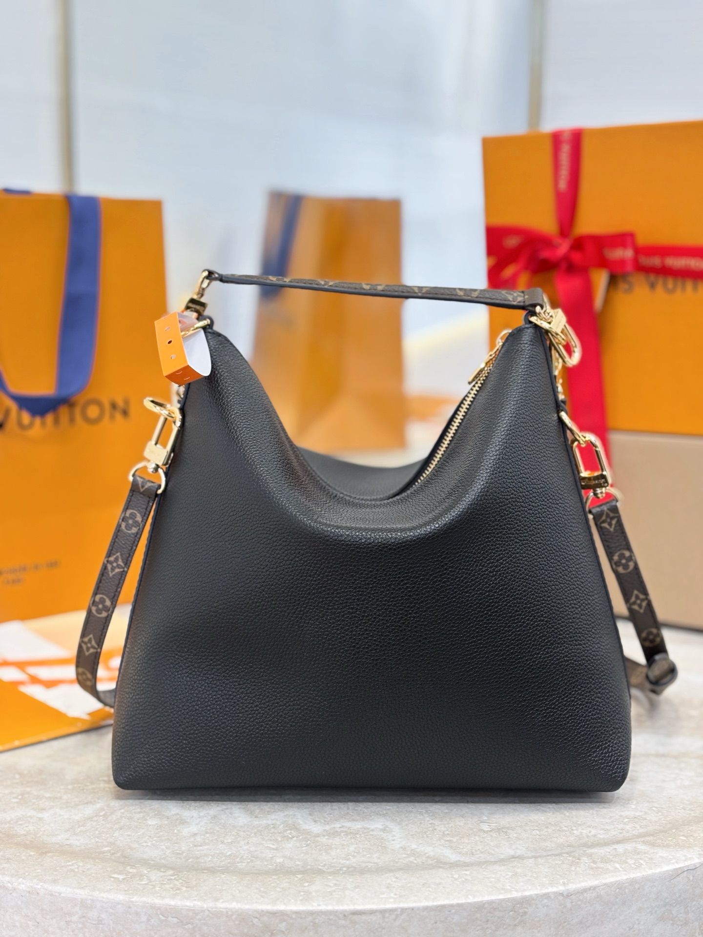 Louis Vuitton Basic Bag Canvas 10cm-m-l-s