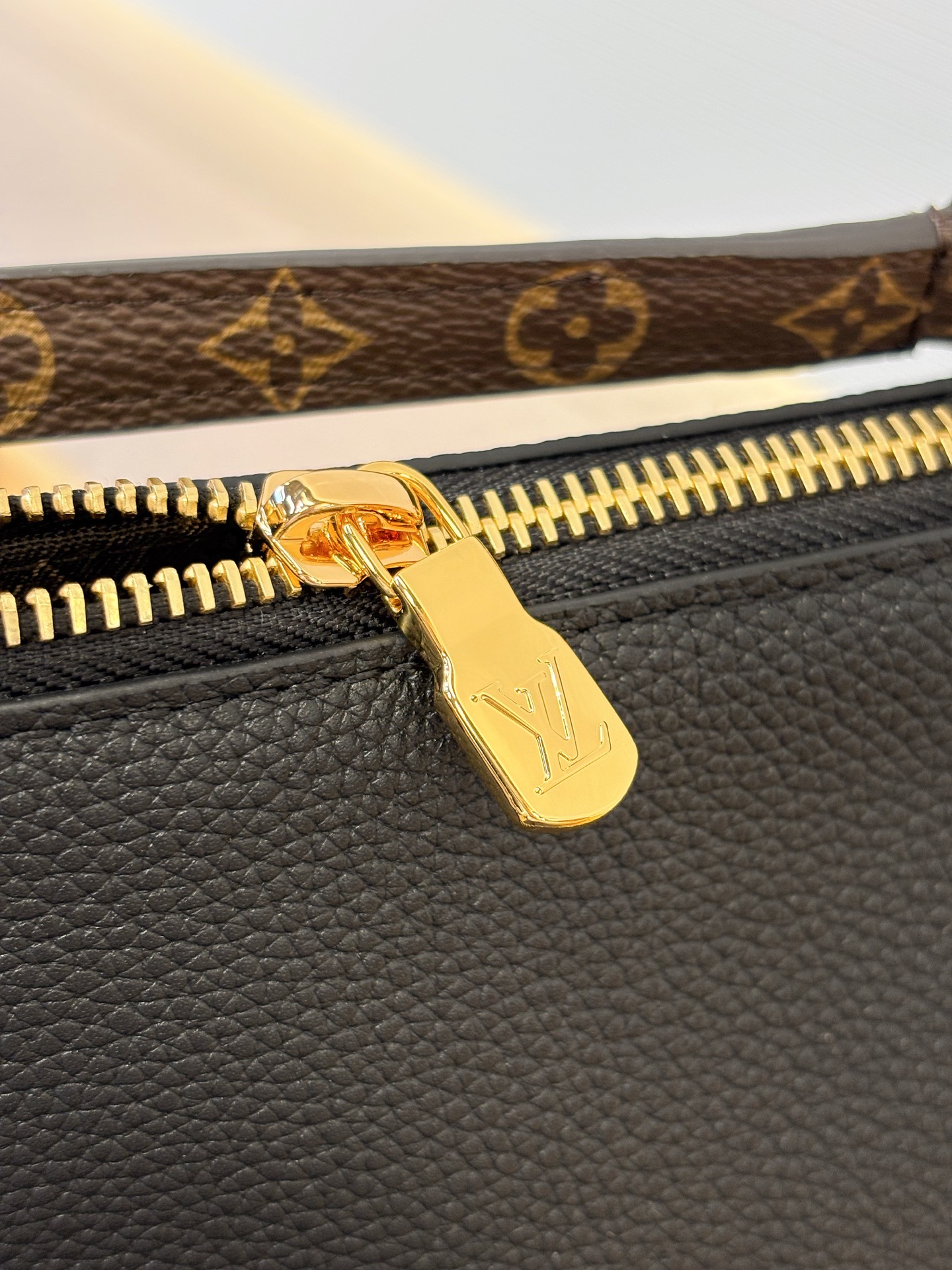 Louis Vuitton Basic Bag Canvas 10cm-m-l-s