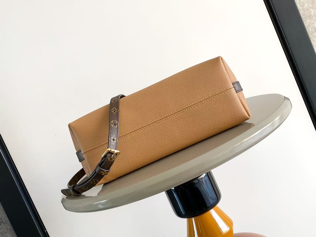 Louis Vuitton Basic Bag Canvas M-l-s