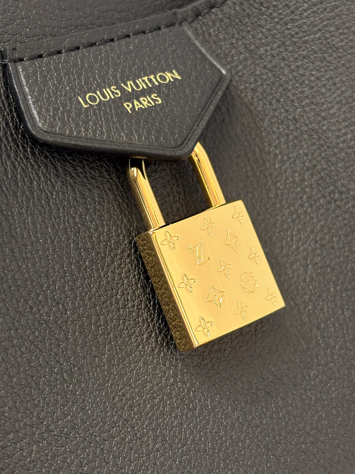 Louis Vuitton Basic Bag Cow Leather M-s