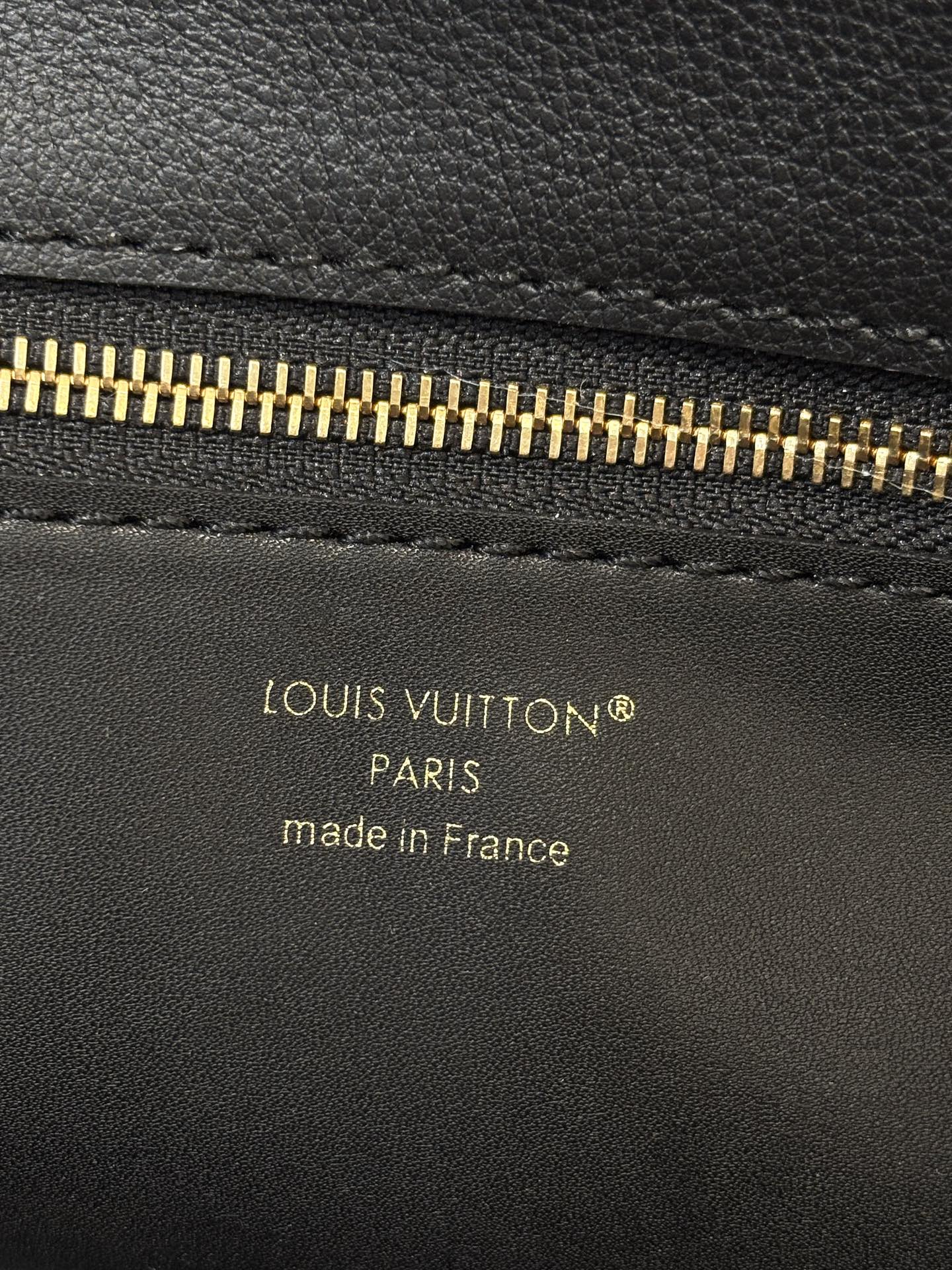 Louis Vuitton Basic Bag Cow Leather M-s