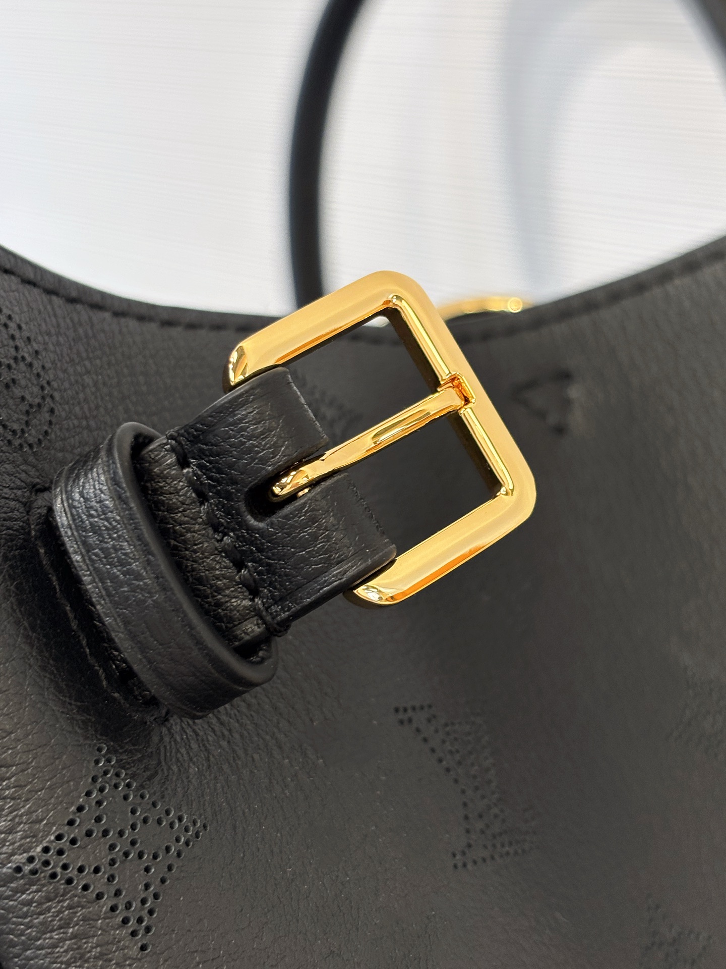 Louis Vuitton Basic Bag Cow Leather M-s