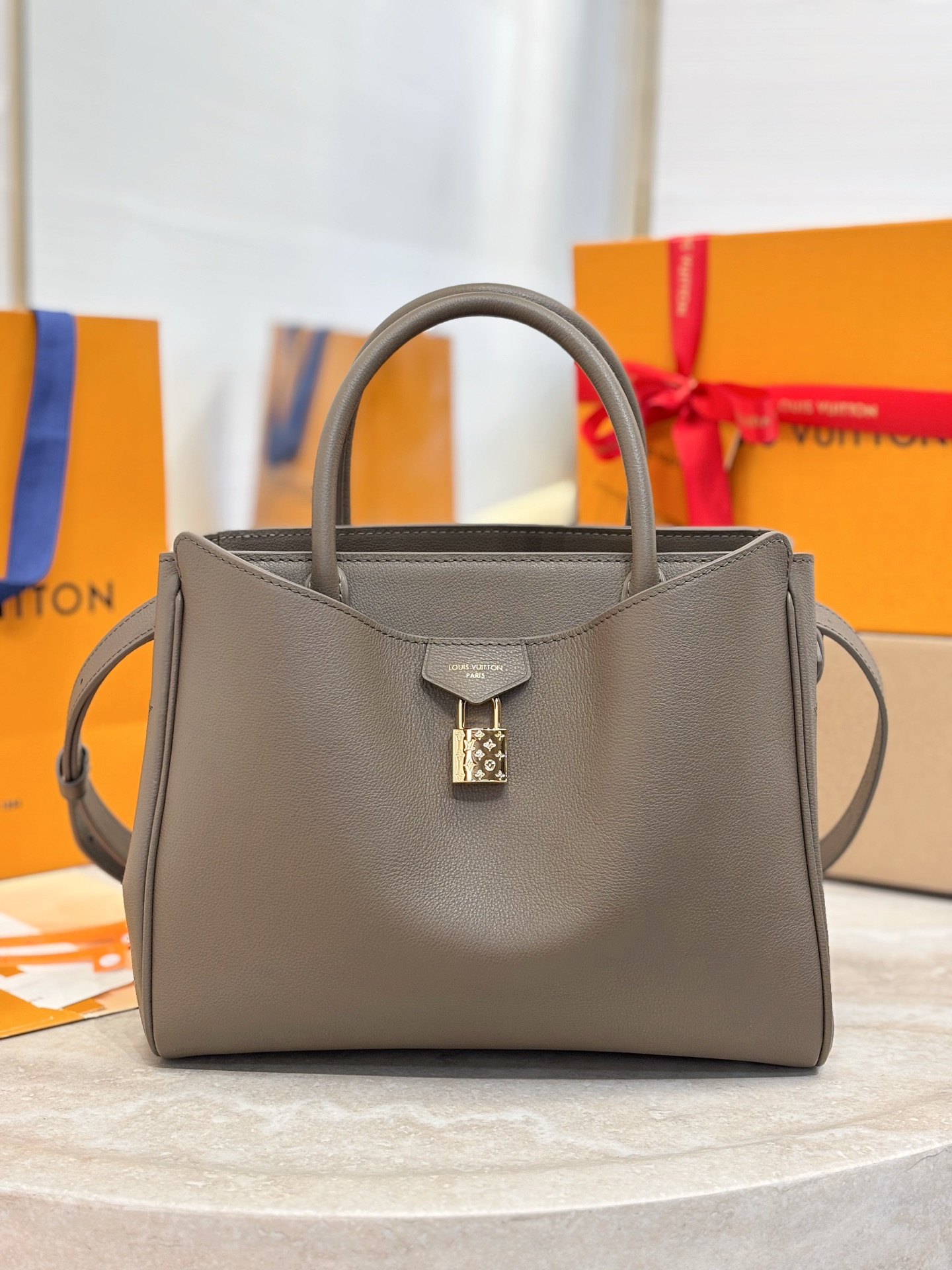 Louis Vuitton Basic Bag Cow Leather M-s