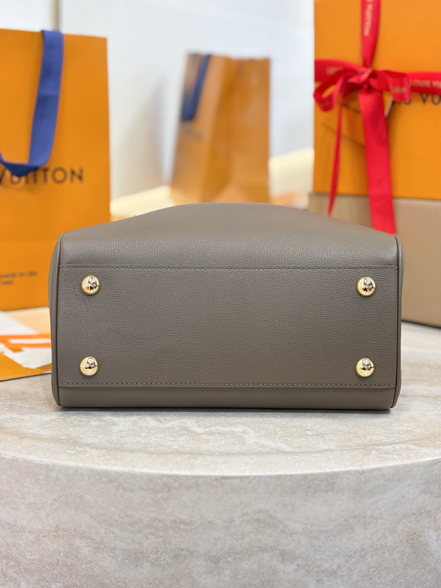 Louis Vuitton Basic Bag Cow Leather M-s