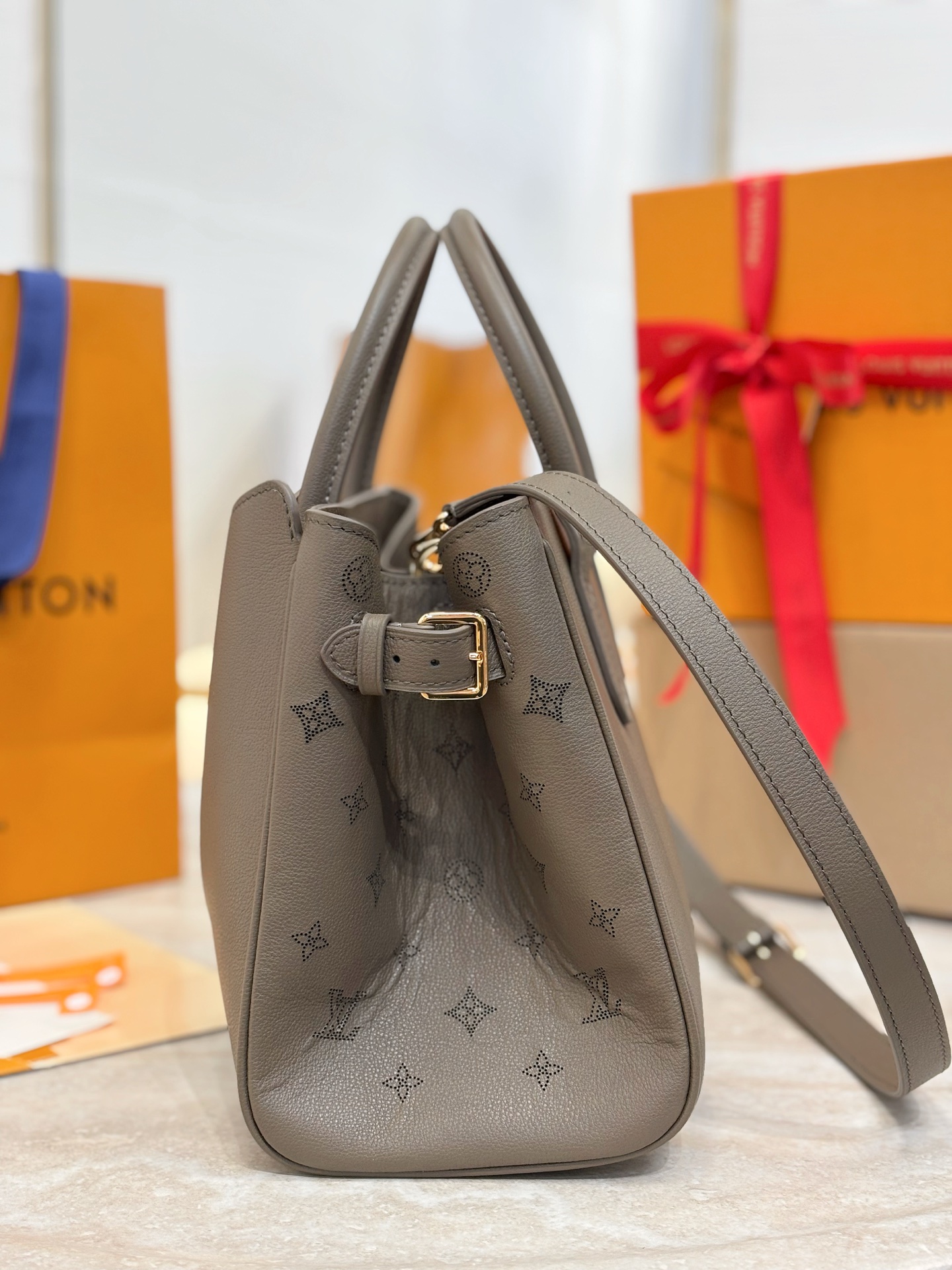 Louis Vuitton Basic Bag Cow Leather M-s