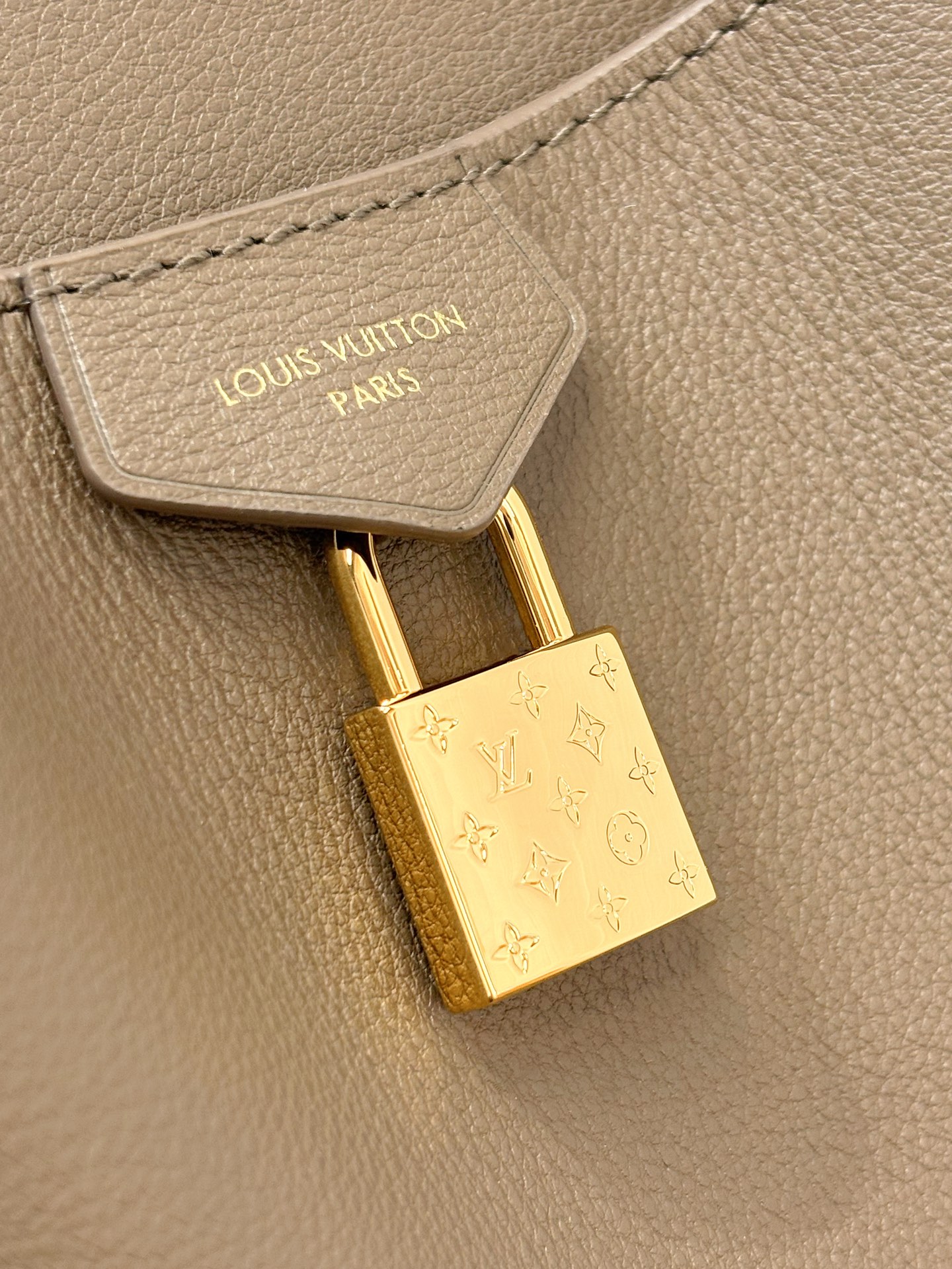 Louis Vuitton Basic Bag Cow Leather M-s