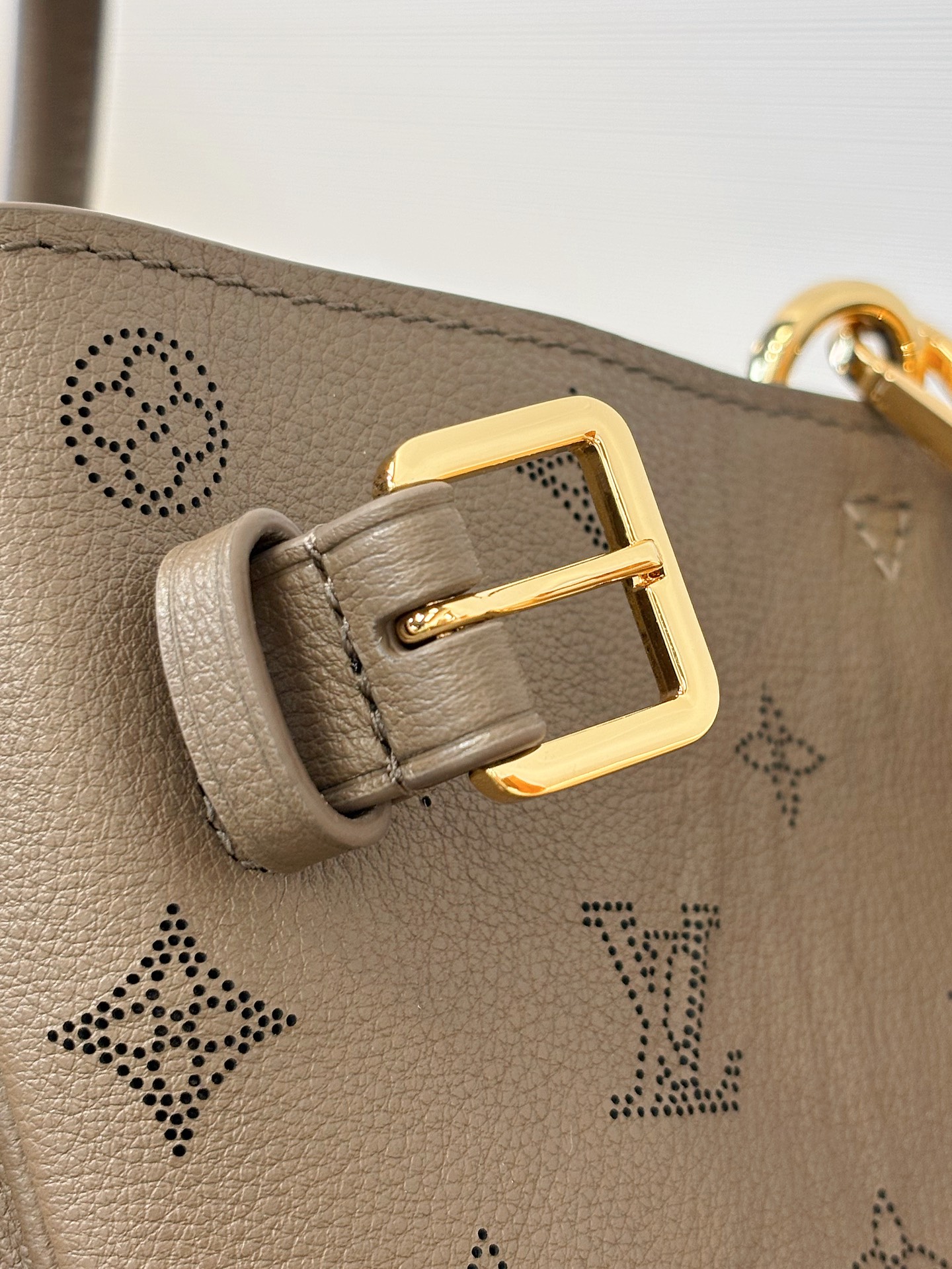 Louis Vuitton Basic Bag Cow Leather M-s