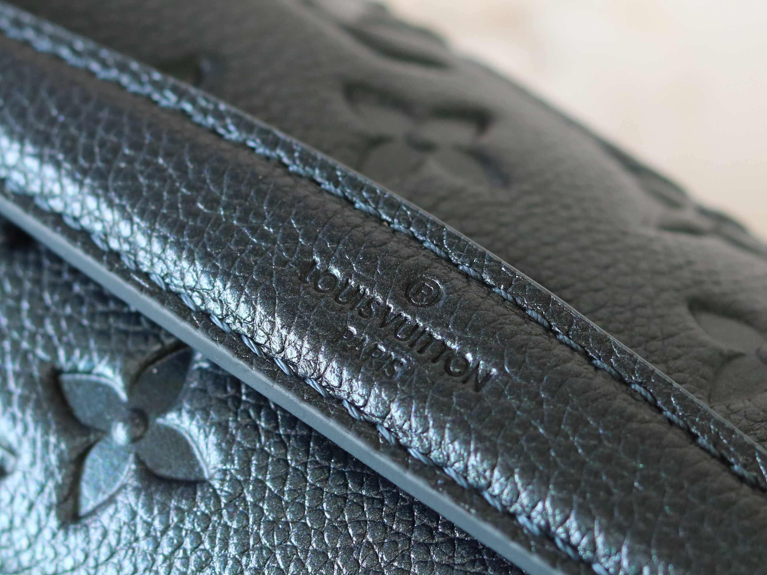 Louis Vuitton Basic Bag Cow Leather M-l-s