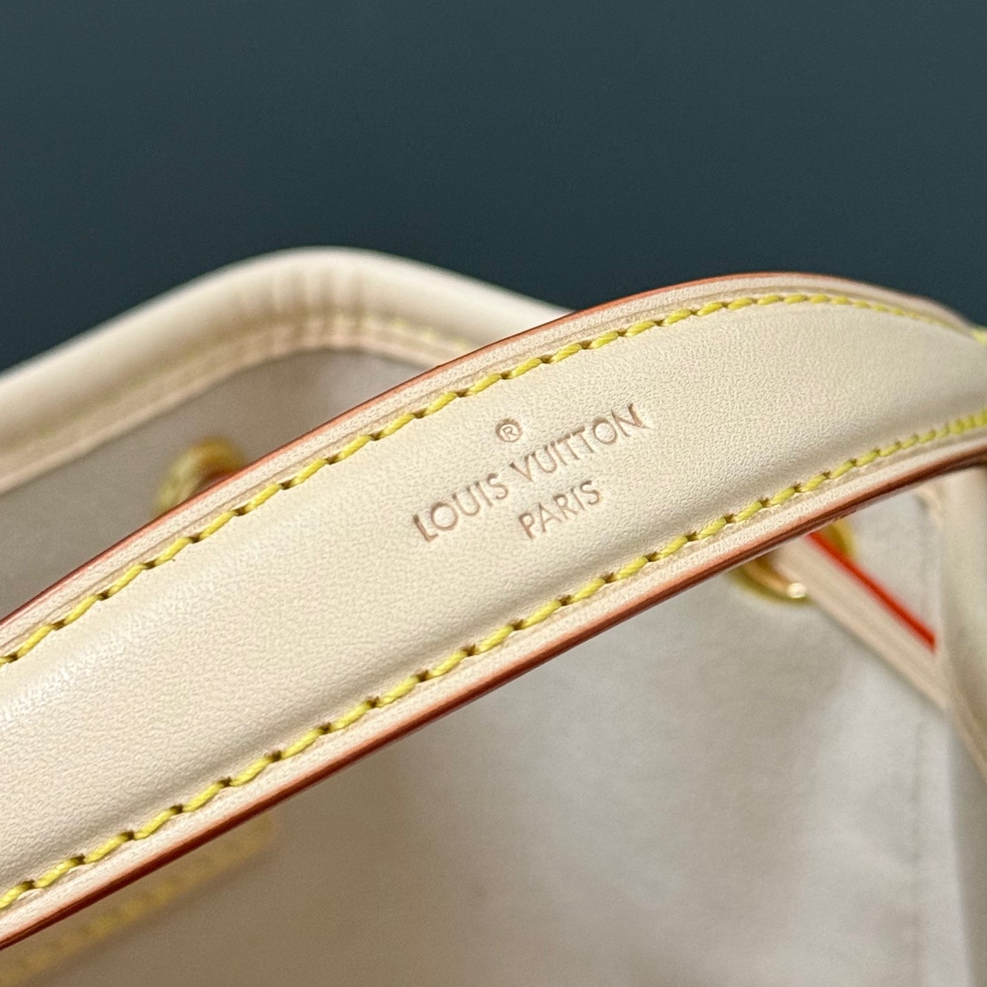 Louis Vuitton Basic Bag Cow Leather M