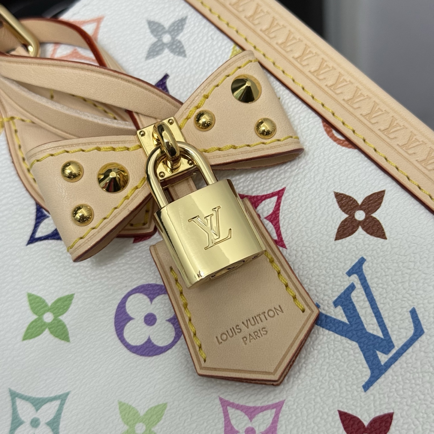 Louis Vuitton Basic Bag Cow Leather M