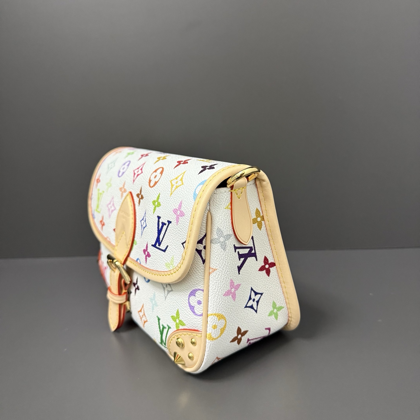 Louis Vuitton Basic Bag Cow Leather M