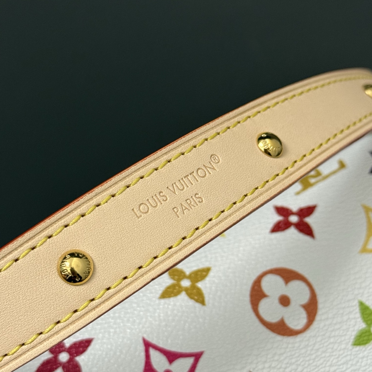 Louis Vuitton Basic Bag Cow Leather M