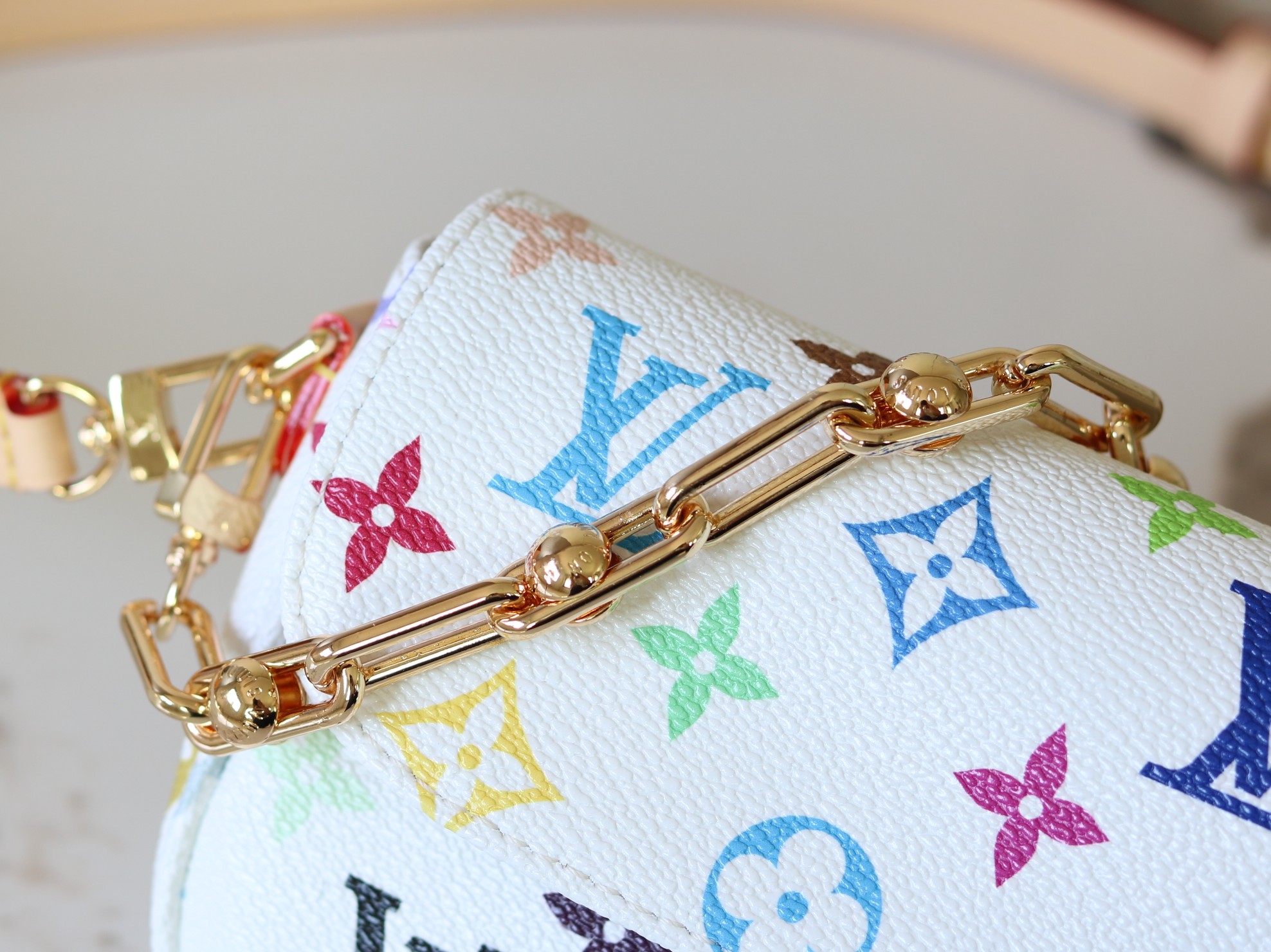 Louis Vuitton Basic Bag Canvas M-l-s