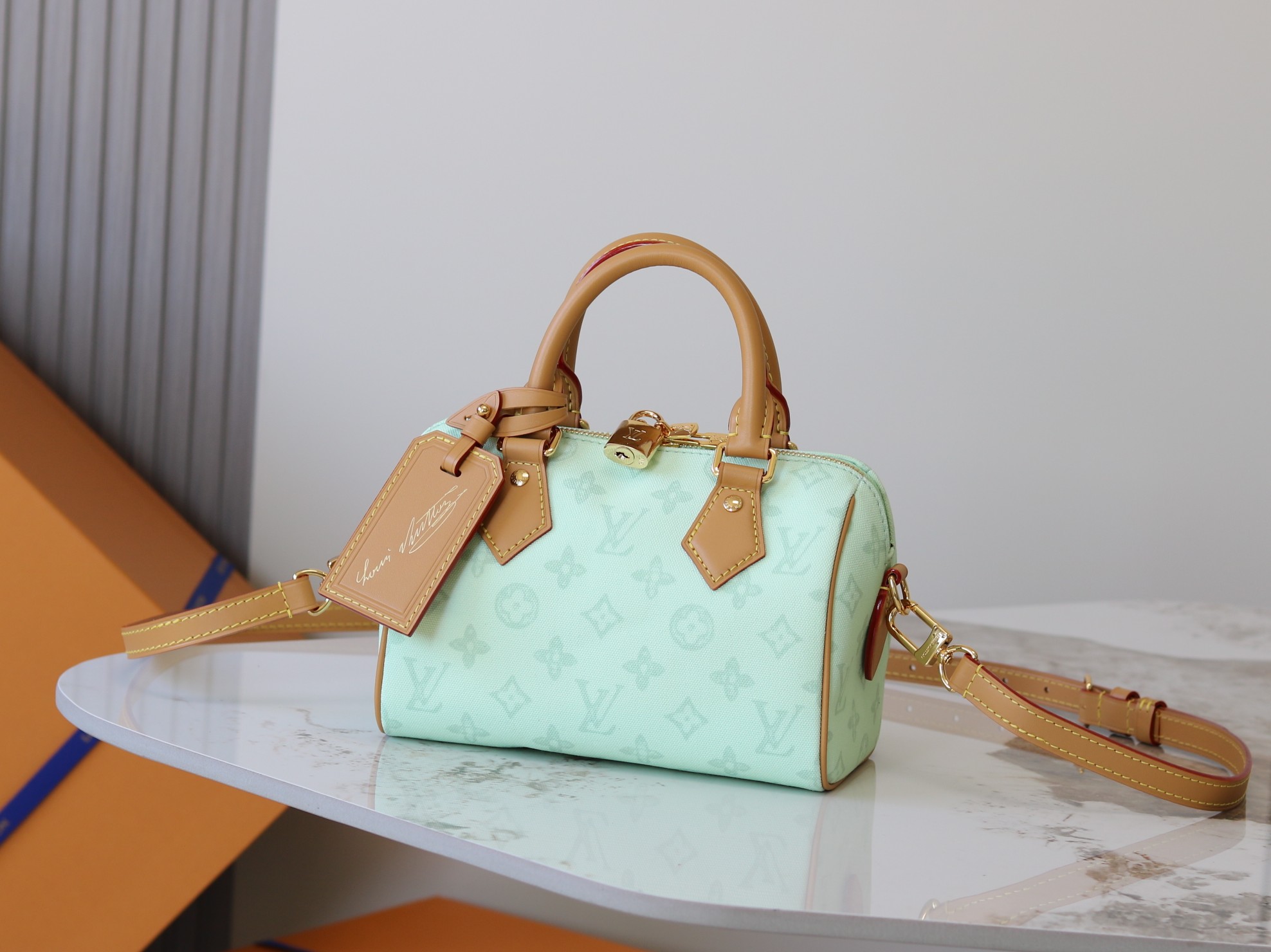 Louis Vuitton Basic Bag Cow Leather M-l-s