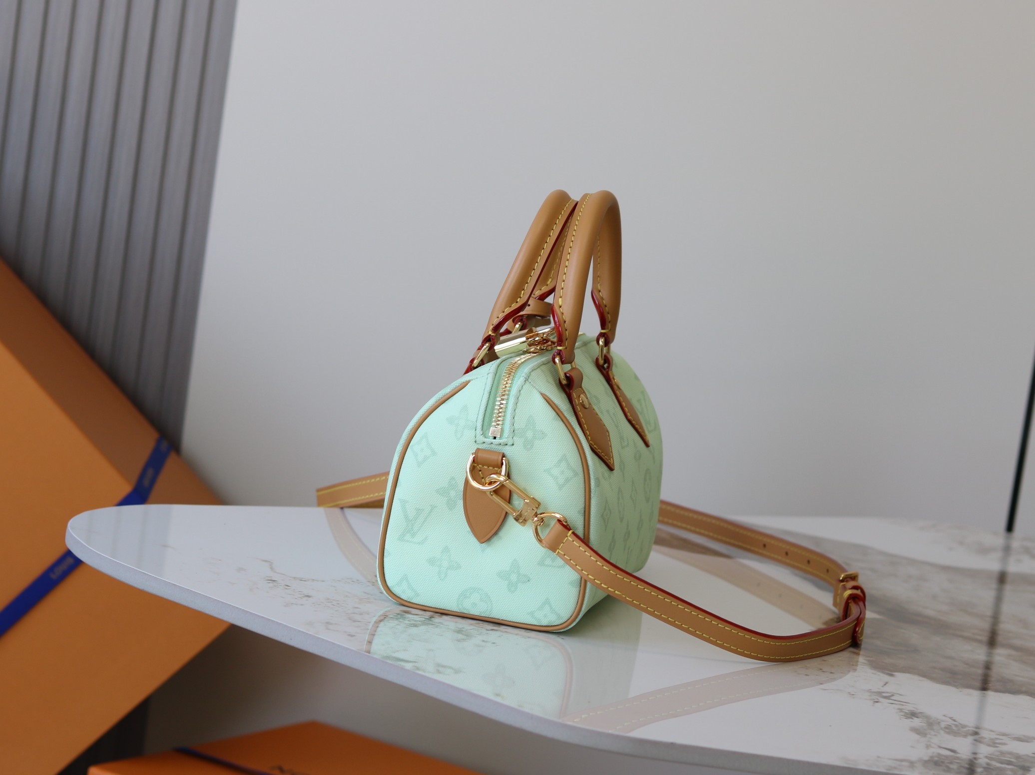 Louis Vuitton Basic Bag Cow Leather M-l-s