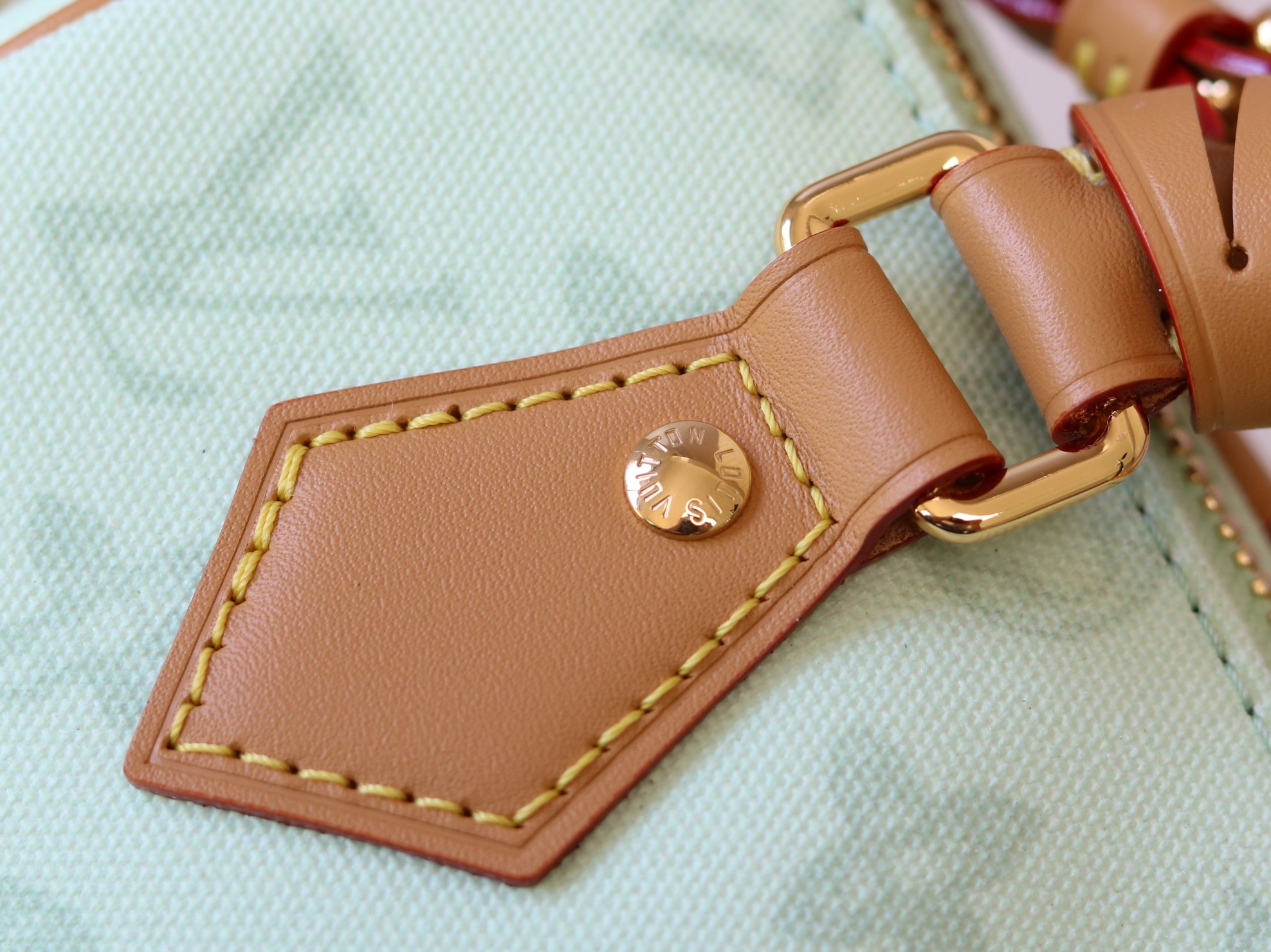 Louis Vuitton Basic Bag Cow Leather M-l-s