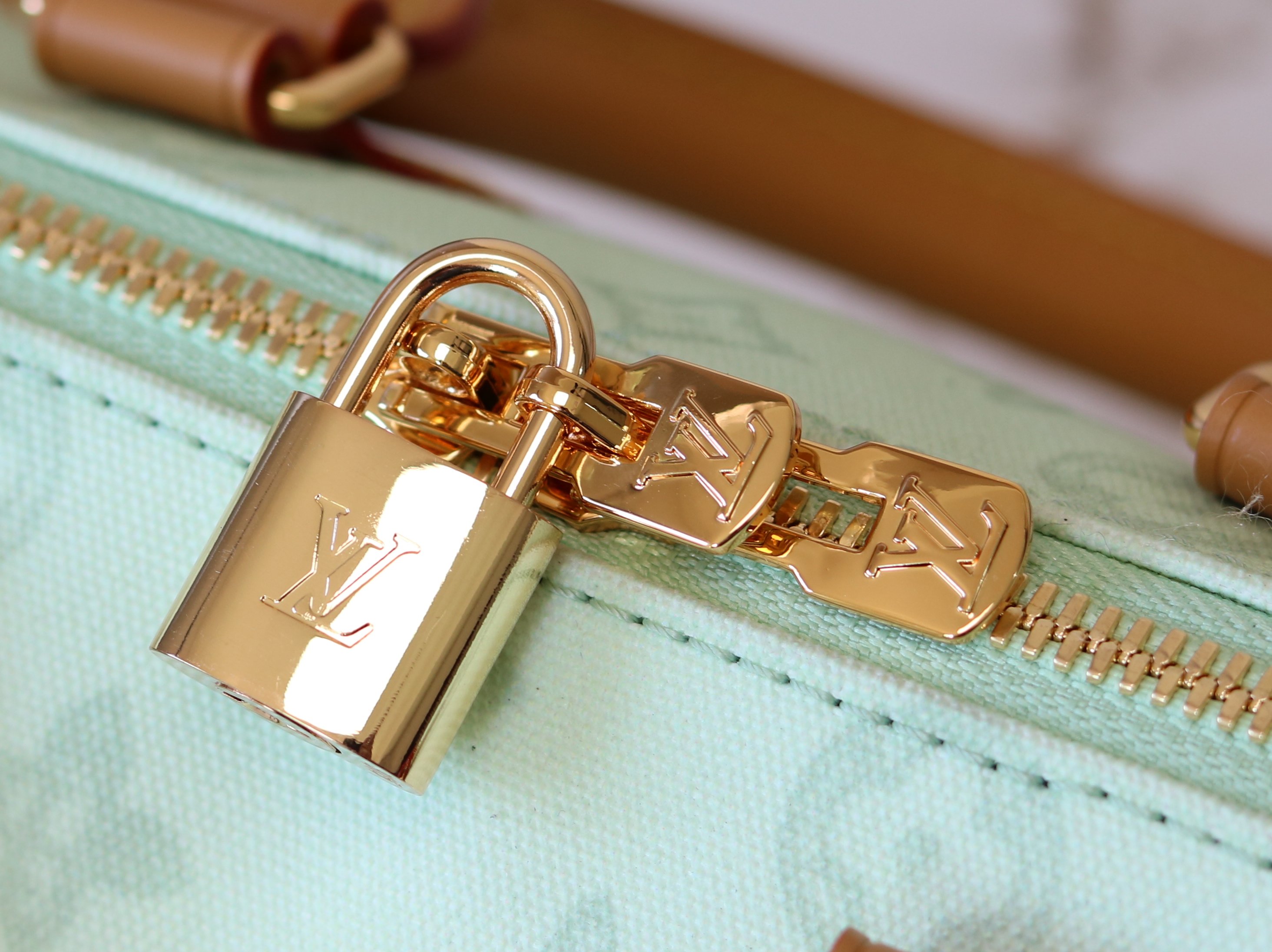 Louis Vuitton Basic Bag Cow Leather M-l-s