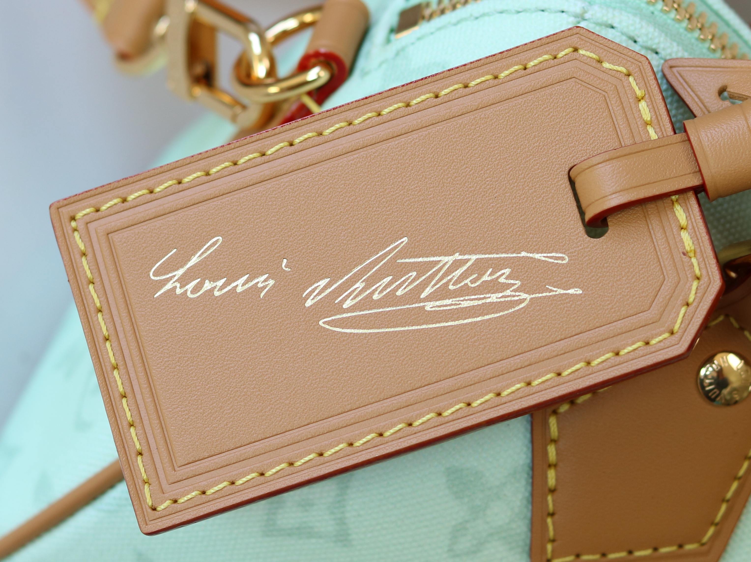 Louis Vuitton Basic Bag Cow Leather M-l-s