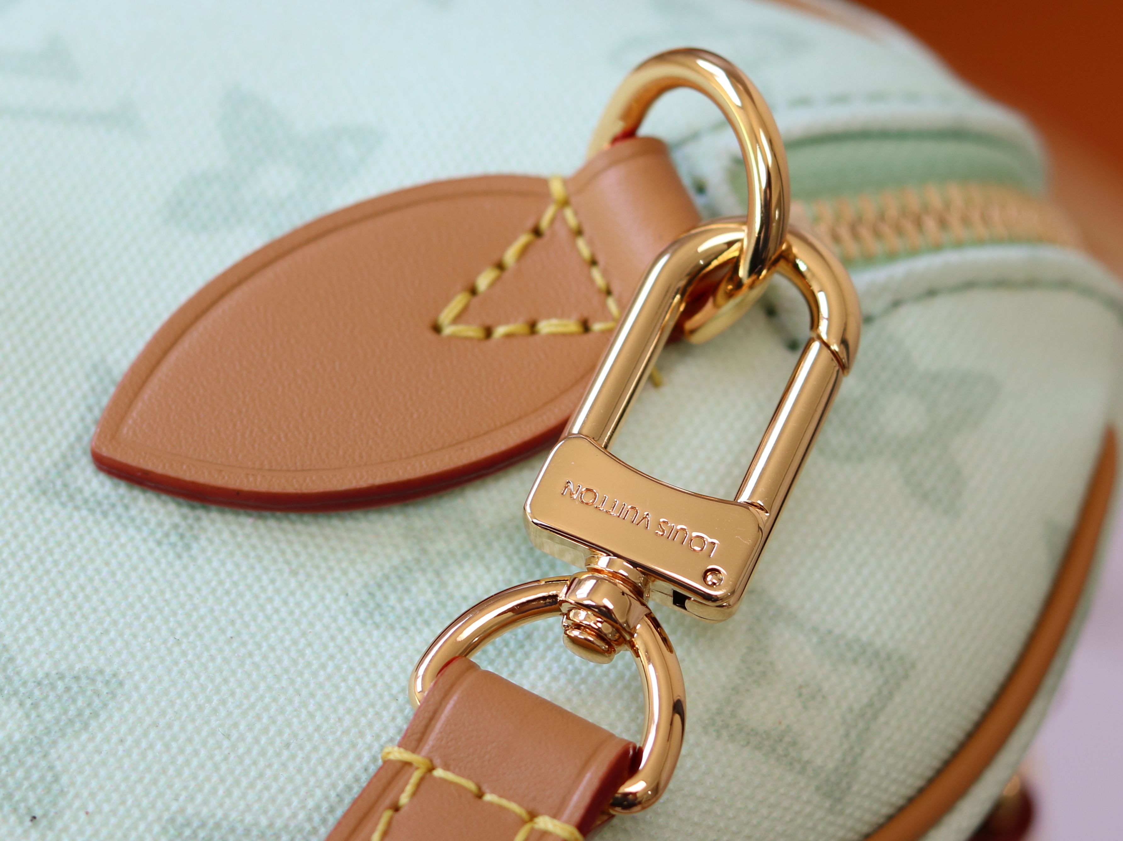 Louis Vuitton Basic Bag Cow Leather M-l-s