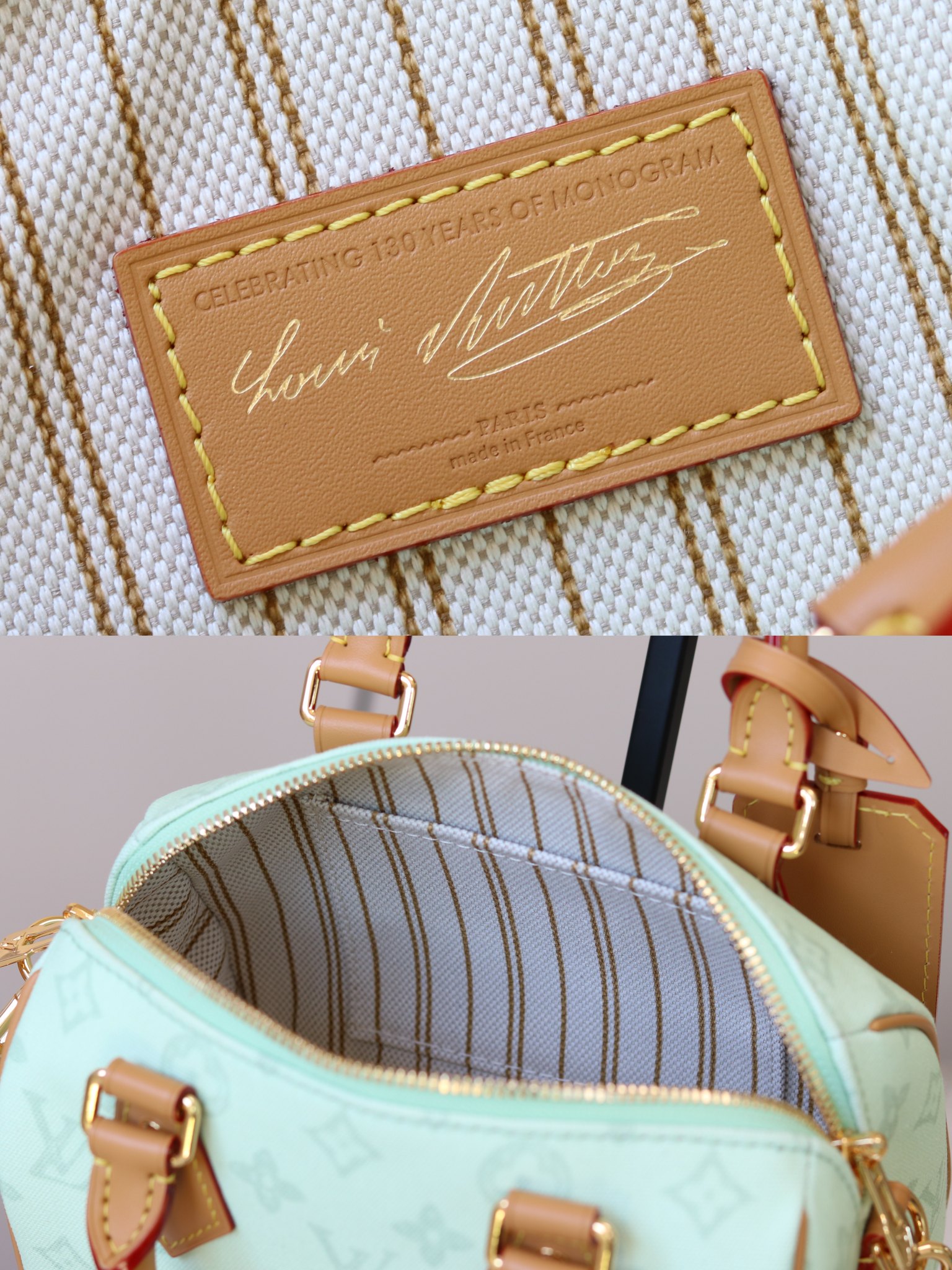 Louis Vuitton Basic Bag Cow Leather M-l-s