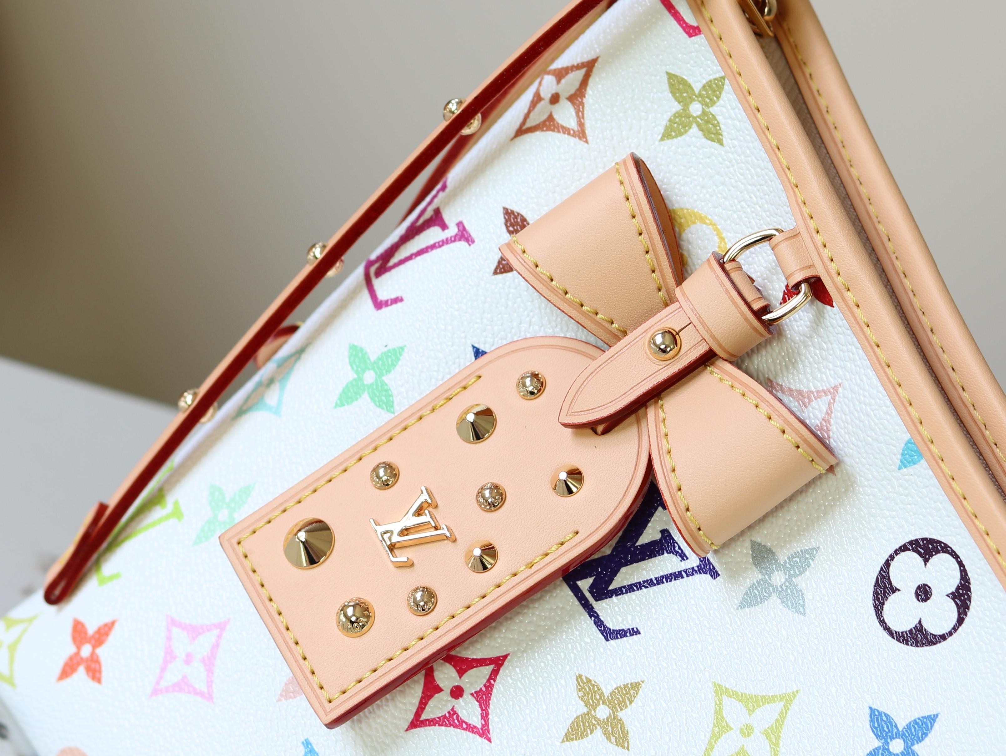 Louis Vuitton Basic Bag Cow Leather M-l-s