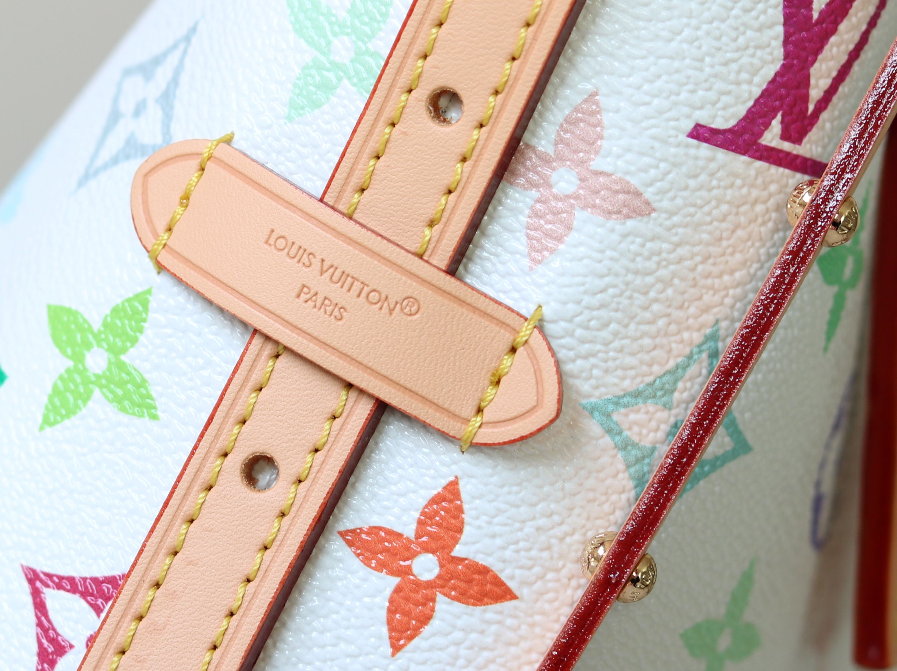 Louis Vuitton Basic Bag Cow Leather M-l-s