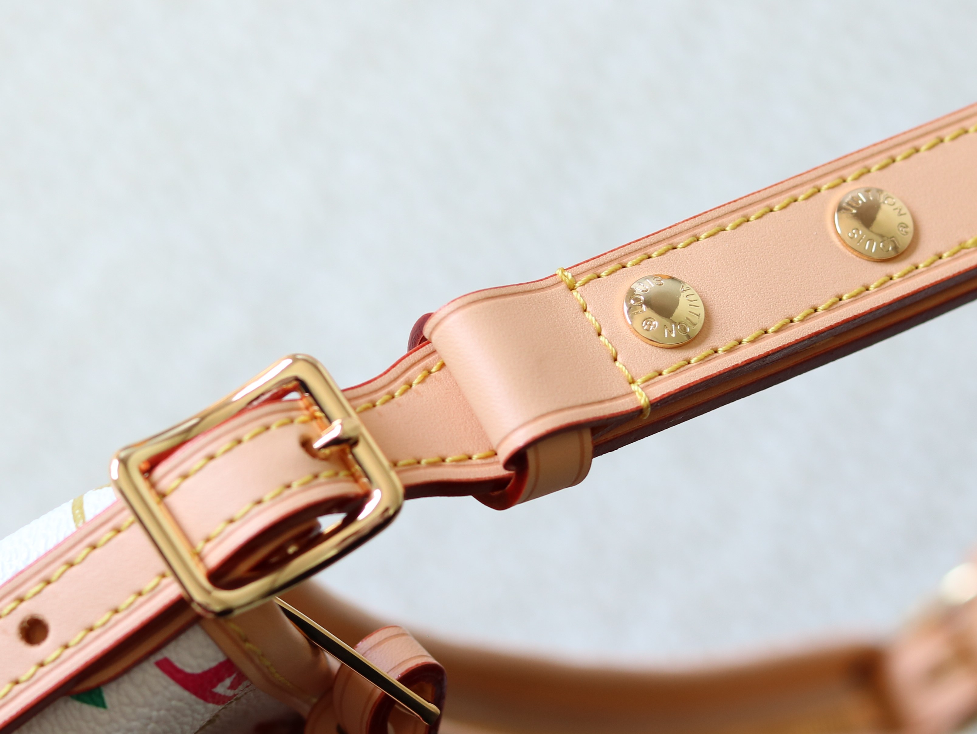 Louis Vuitton Basic Bag Cow Leather M-l-s