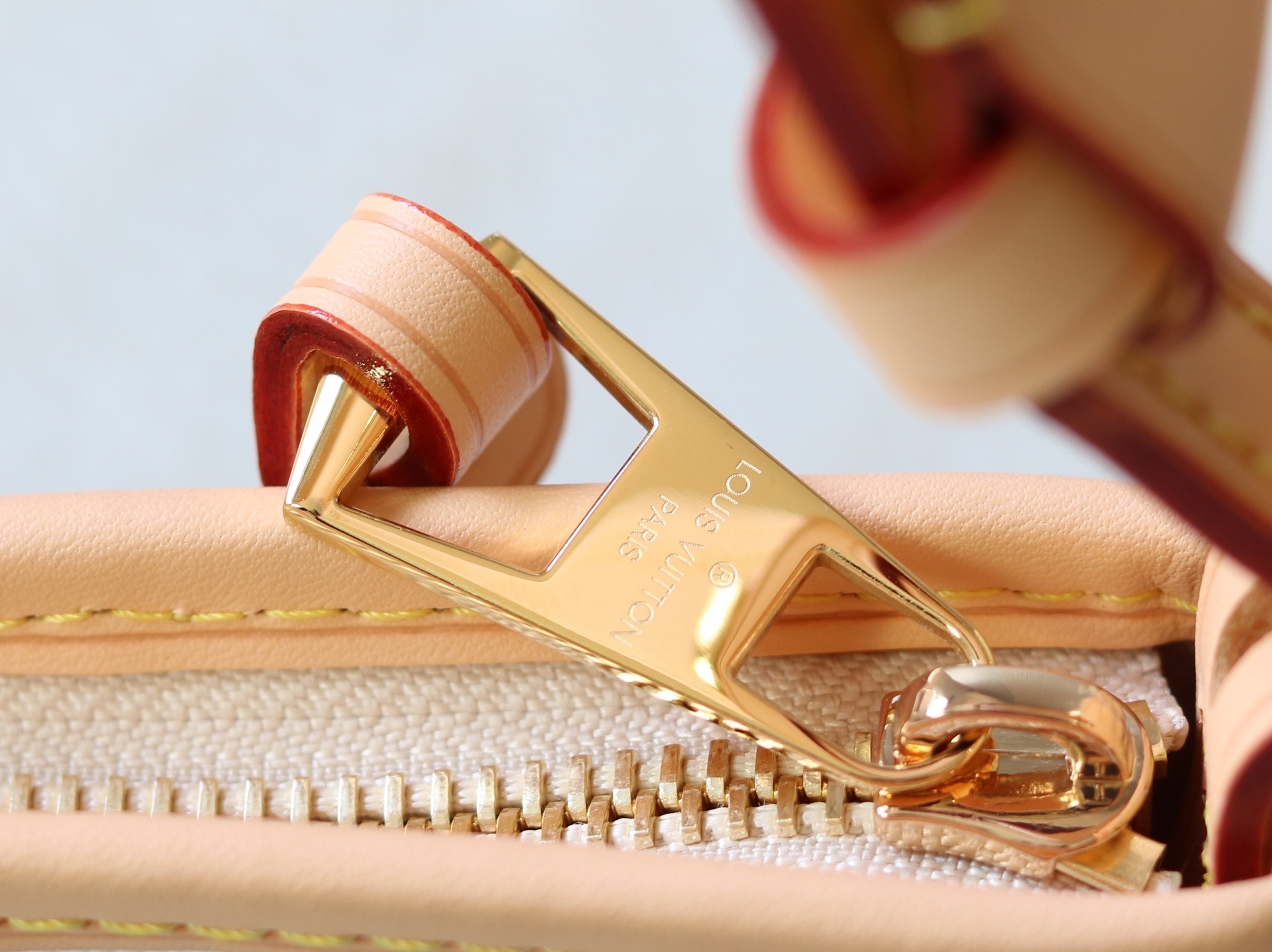 Louis Vuitton Basic Bag Cow Leather M-l-s