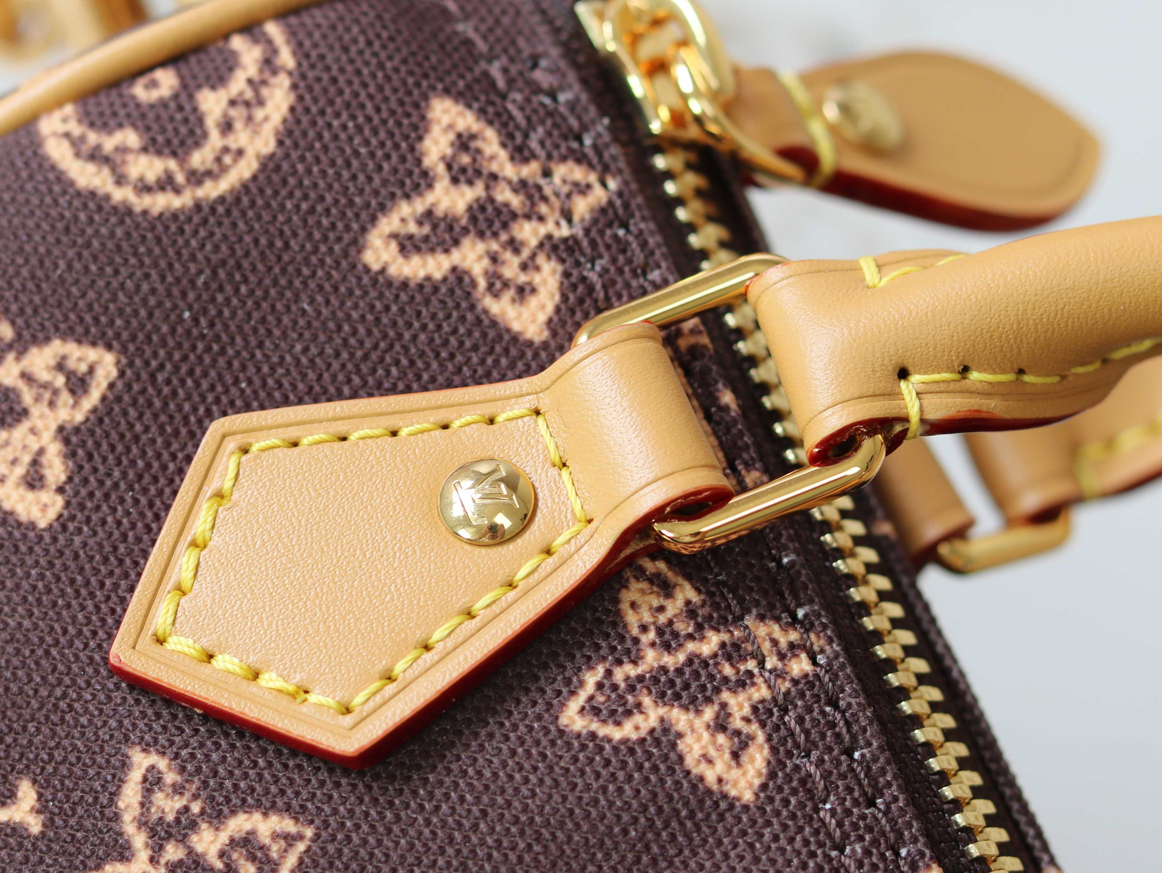 Louis Vuitton Basic Bag Cow Leather M-s