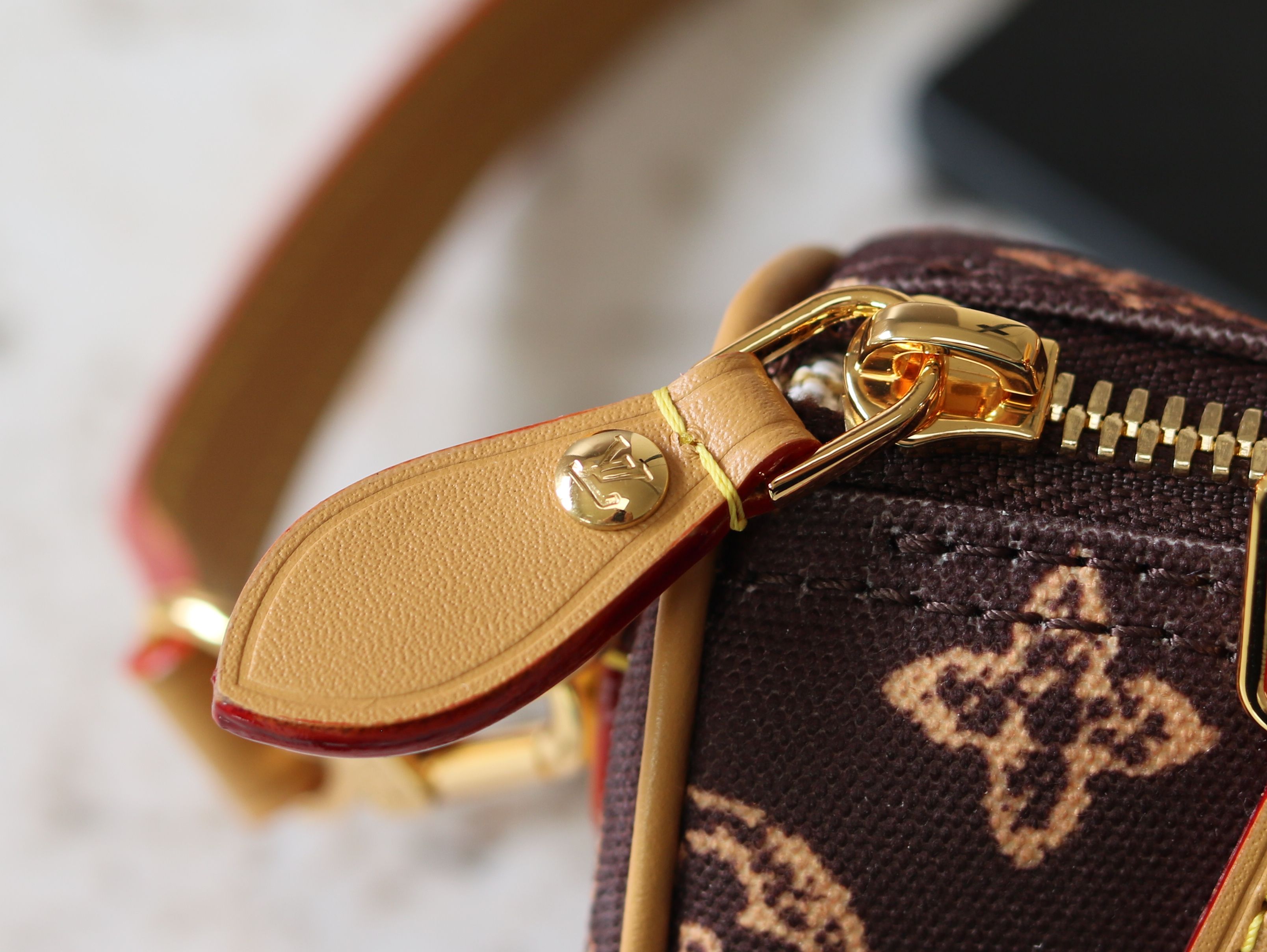 Louis Vuitton Basic Bag Cow Leather M-s