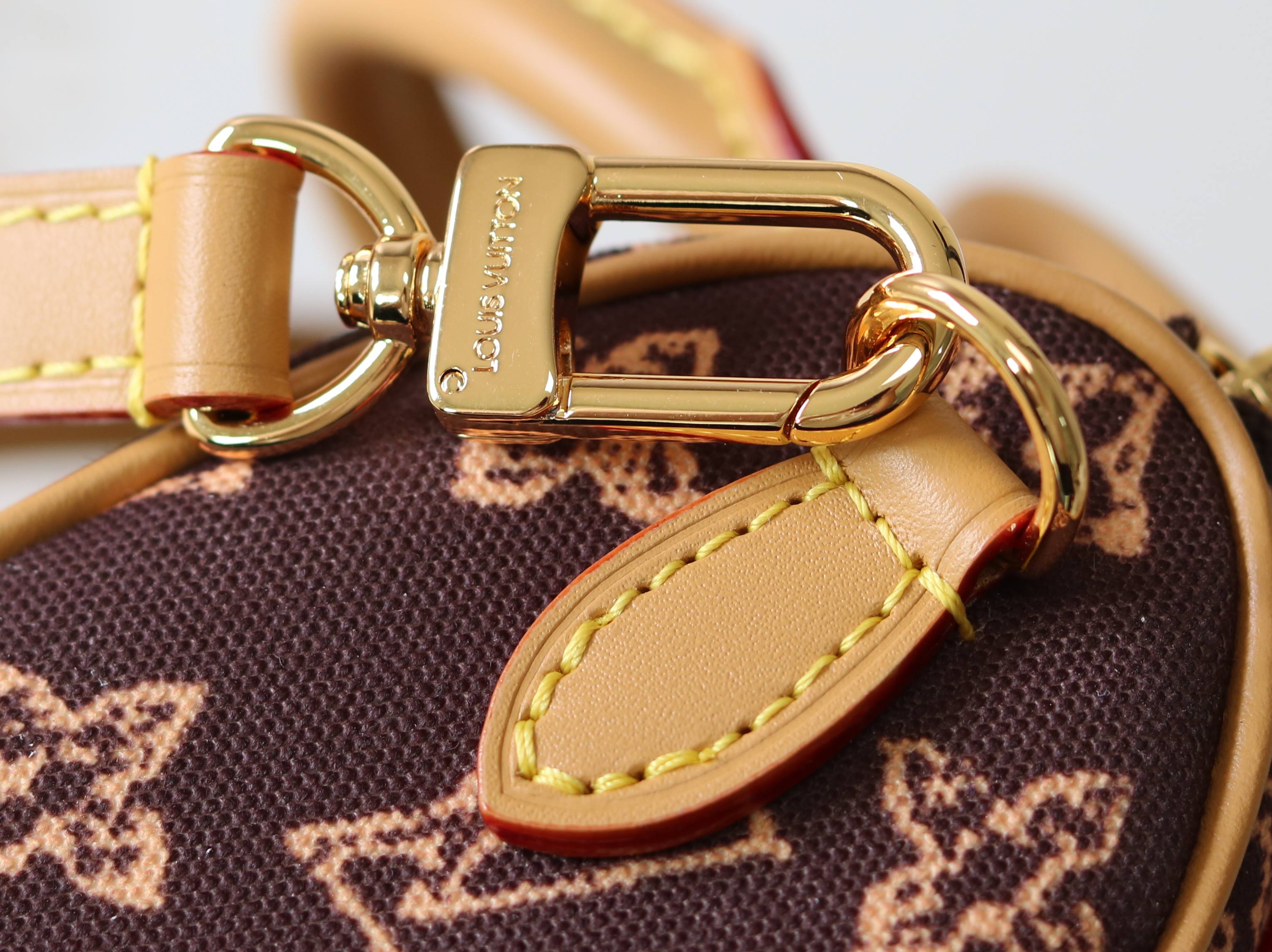 Louis Vuitton Basic Bag Cow Leather M-s