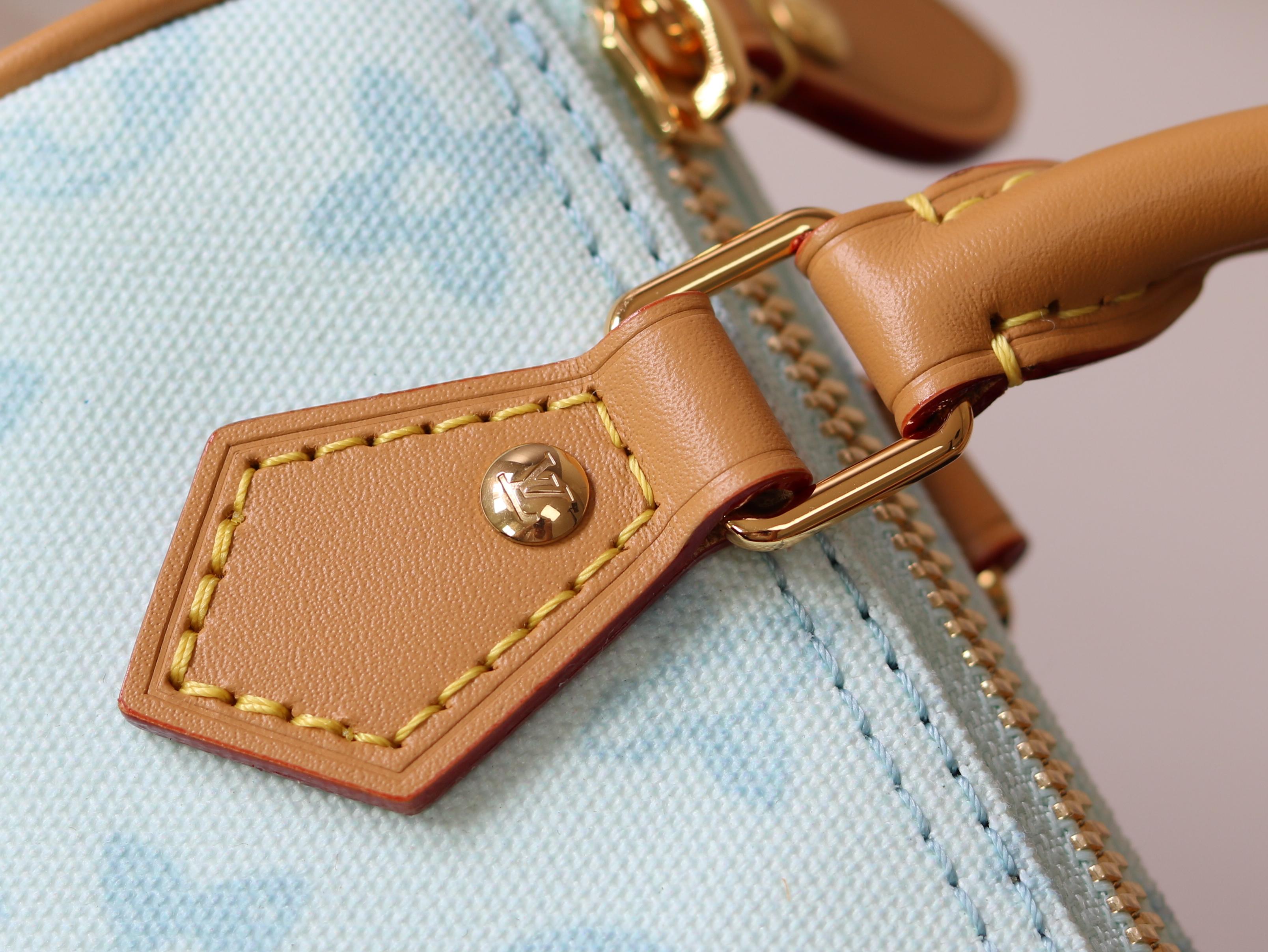 Louis Vuitton Basic Bag Cow Leather M-s