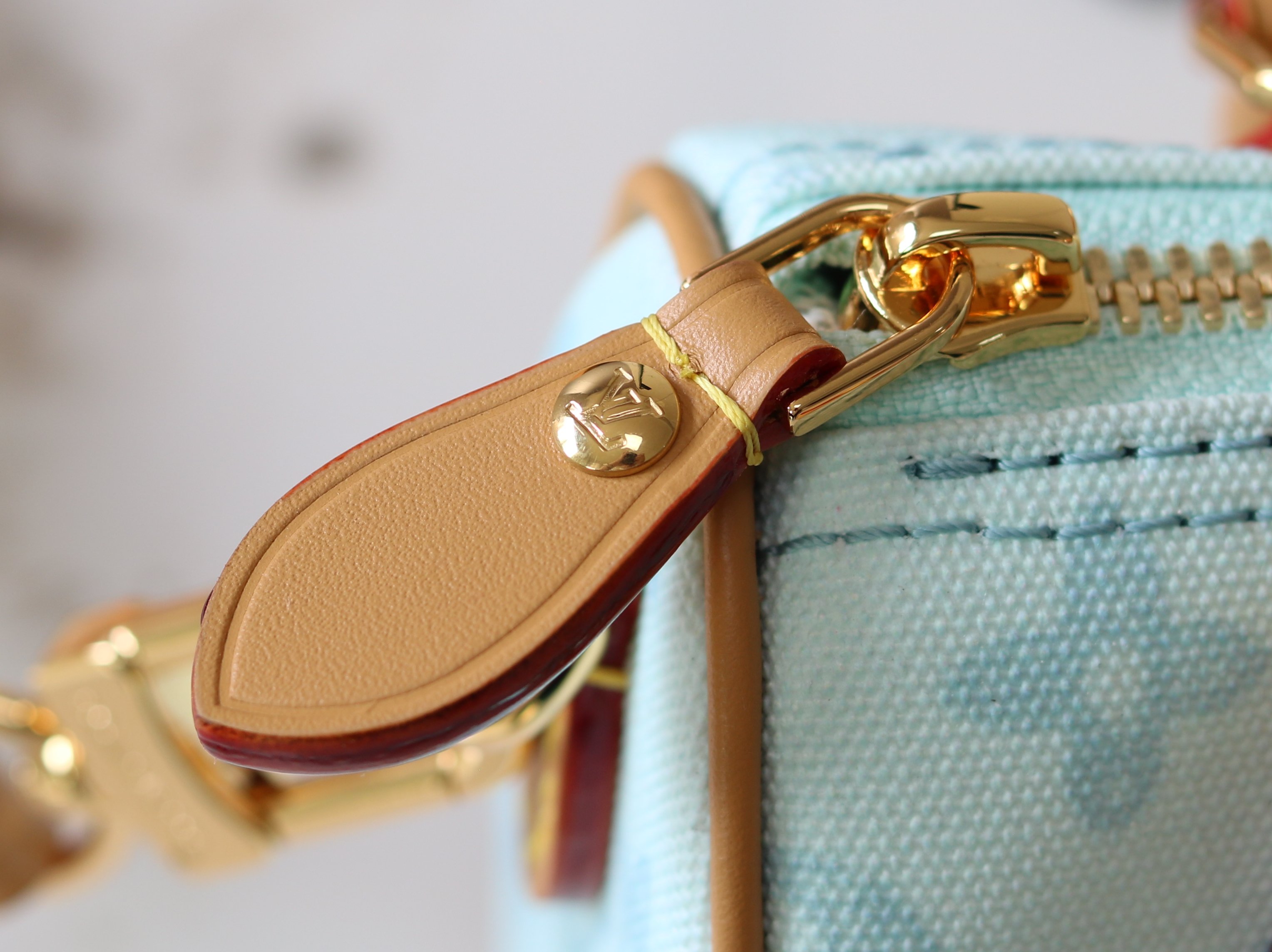 Louis Vuitton Basic Bag Cow Leather M-s