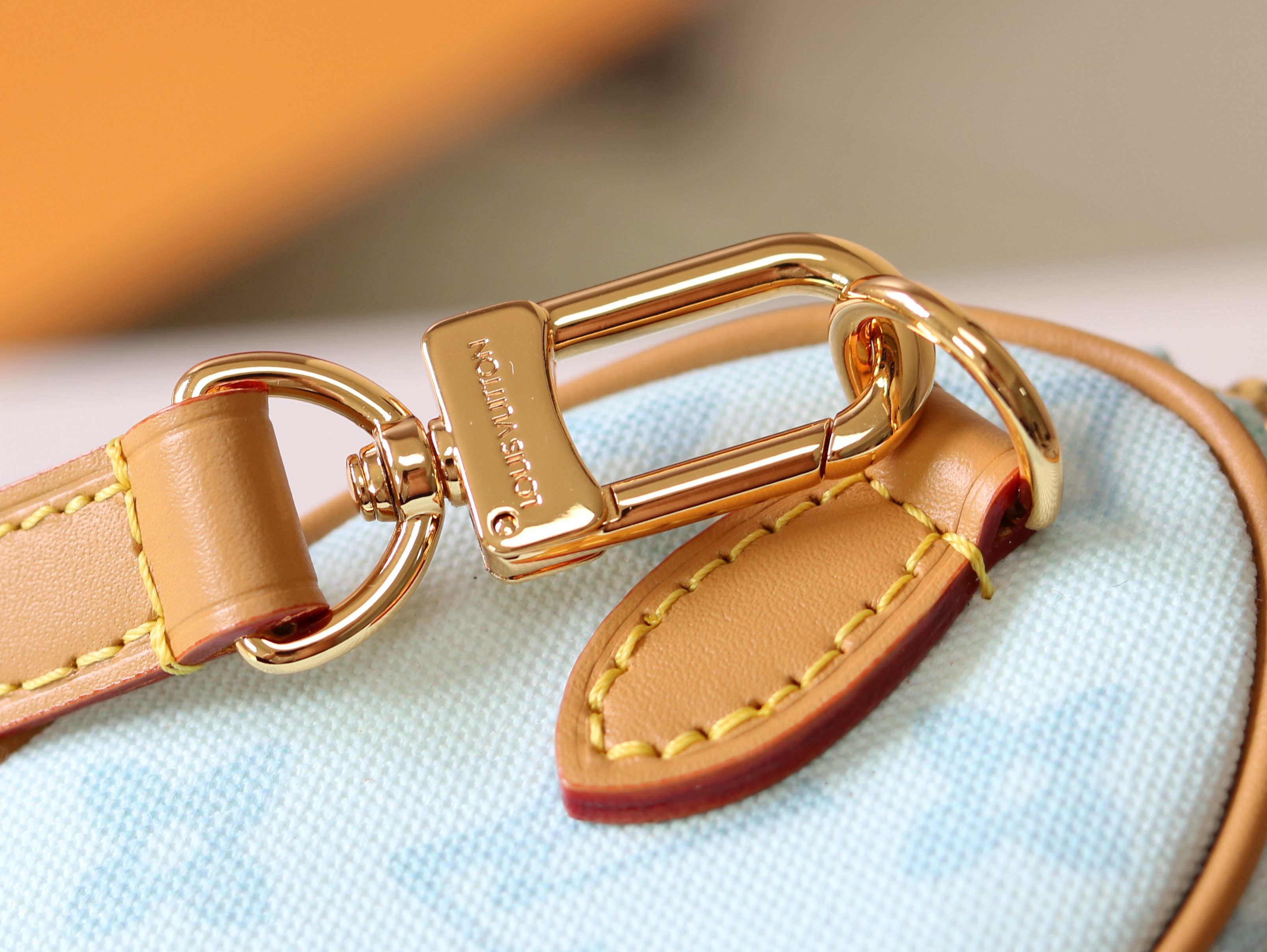 Louis Vuitton Basic Bag Cow Leather M-s