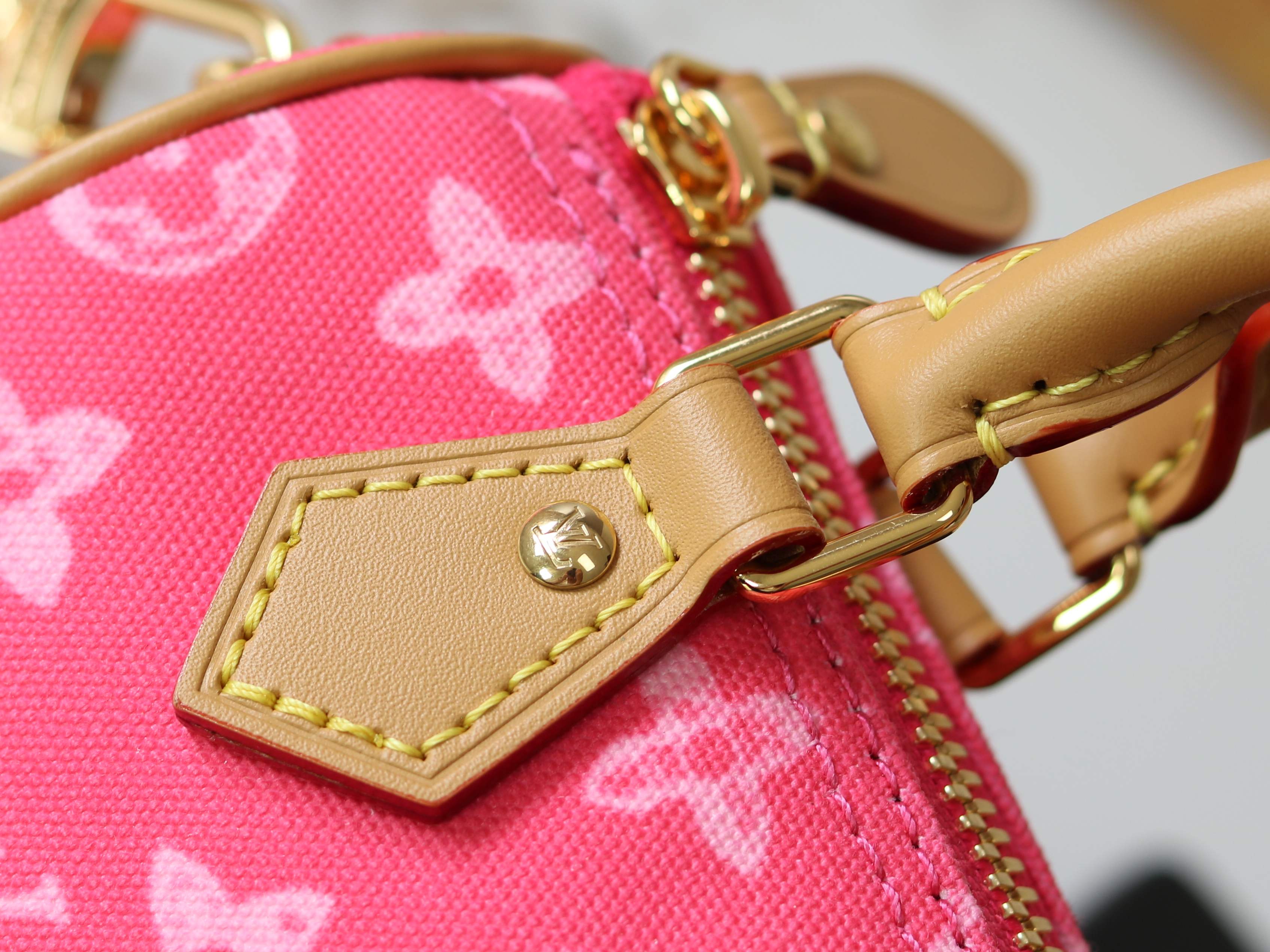 Louis Vuitton Basic Bag Cow Leather M-s