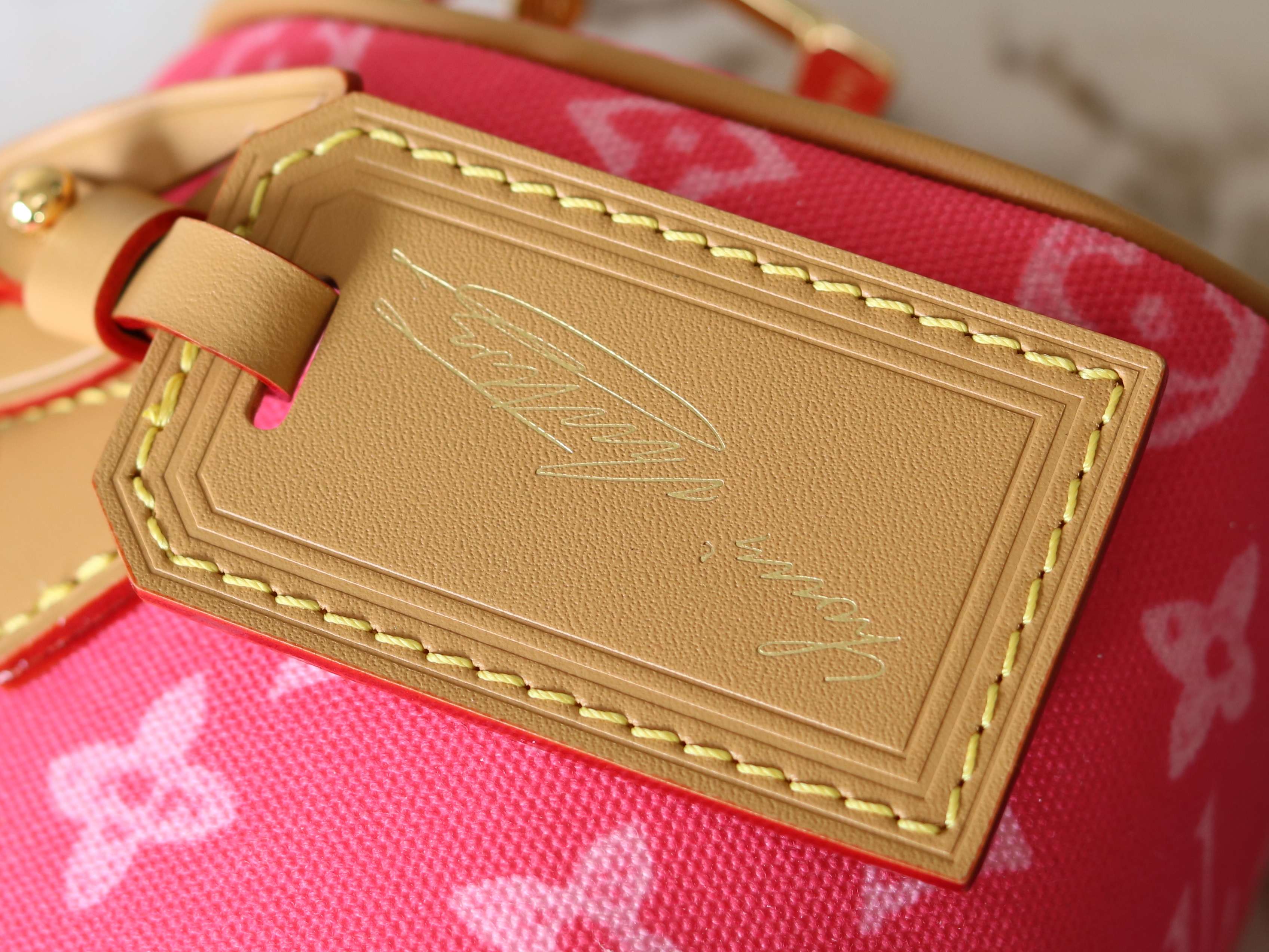 Louis Vuitton Basic Bag Cow Leather M-s