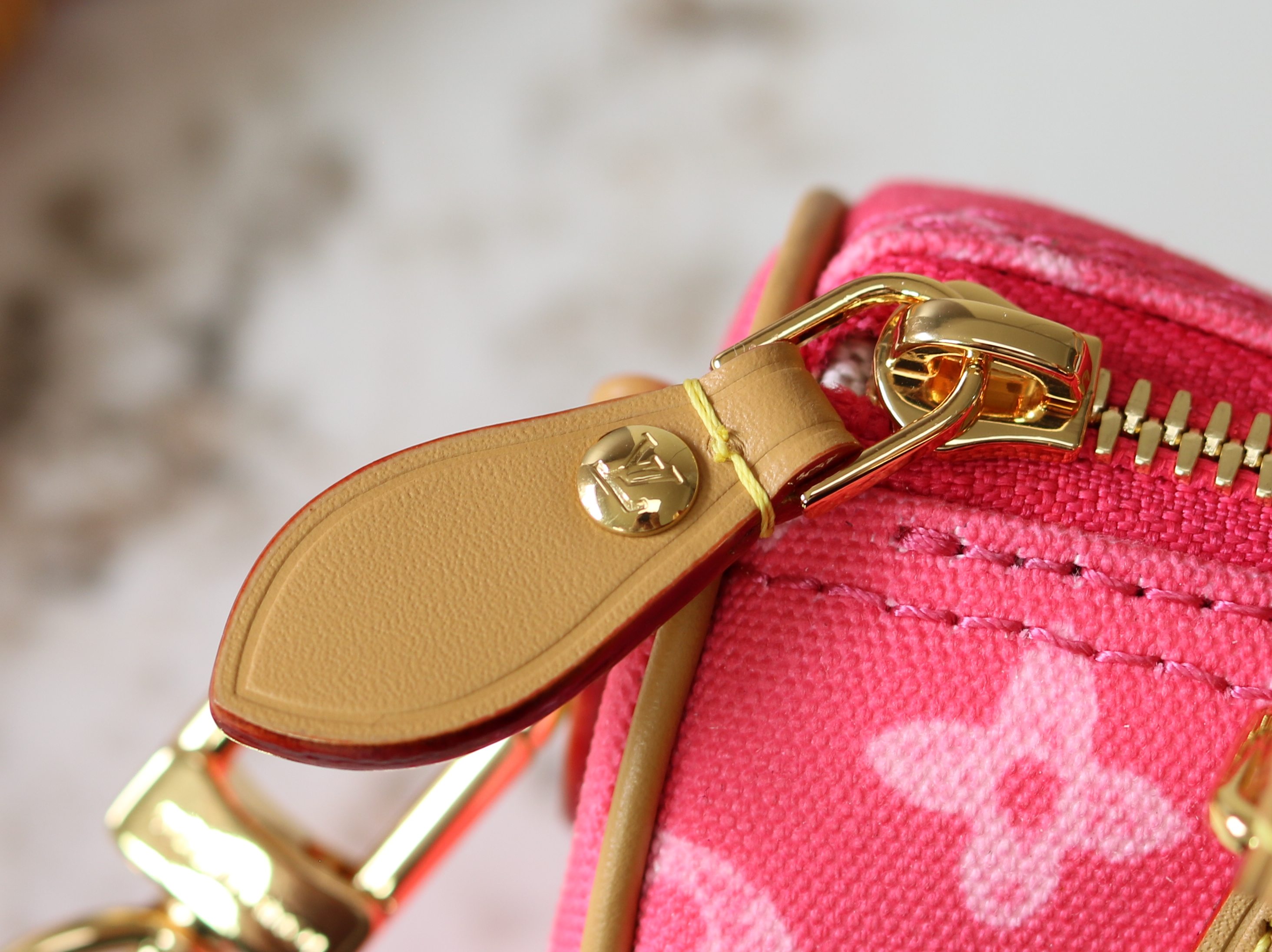 Louis Vuitton Basic Bag Cow Leather M-s