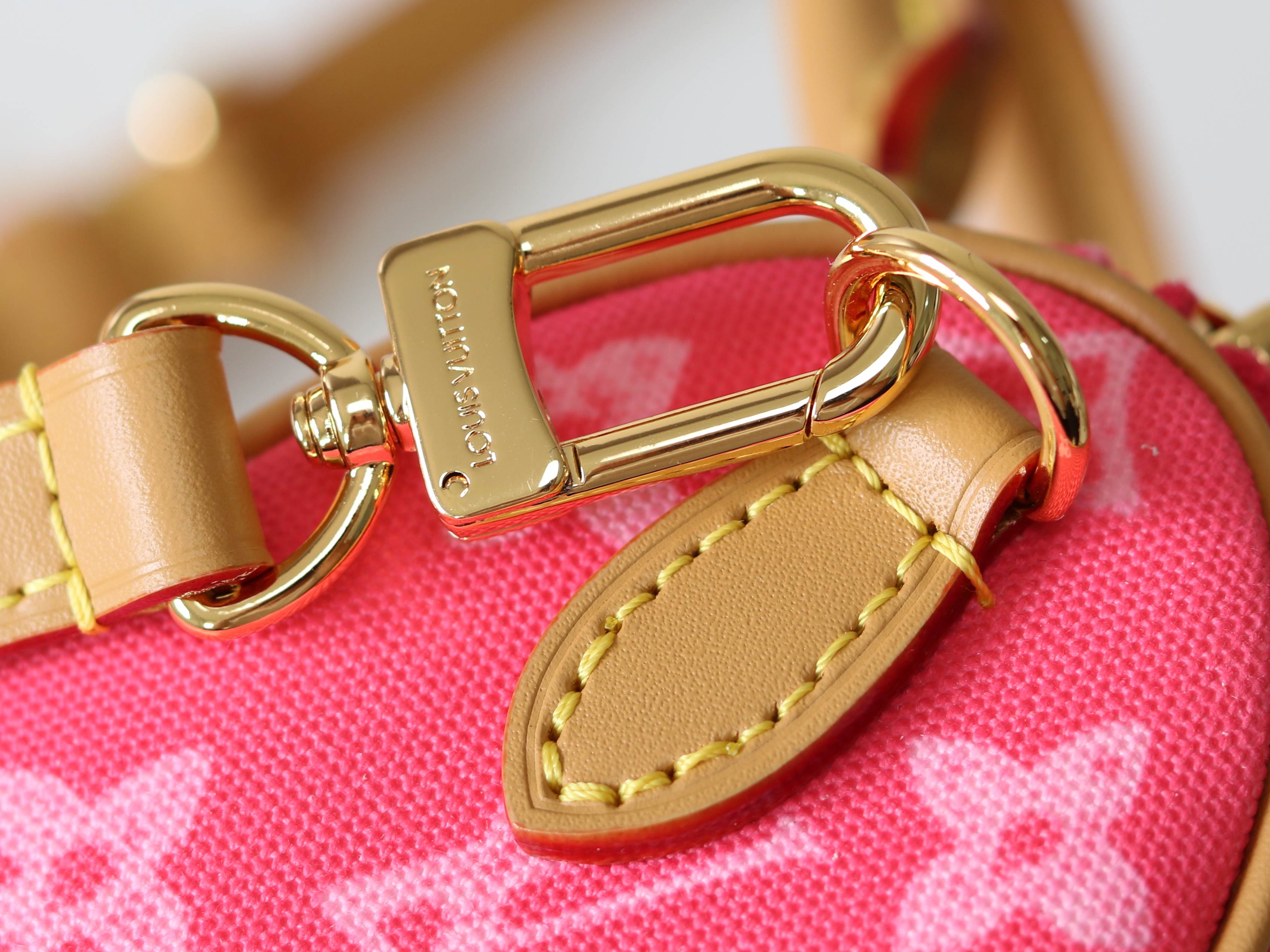 Louis Vuitton Basic Bag Cow Leather M-s